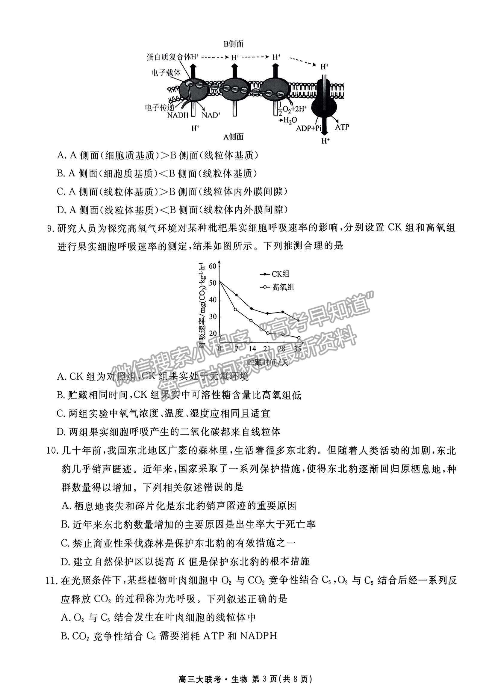 2023廣東衡水10月大聯(lián)考生物試題及參考答案