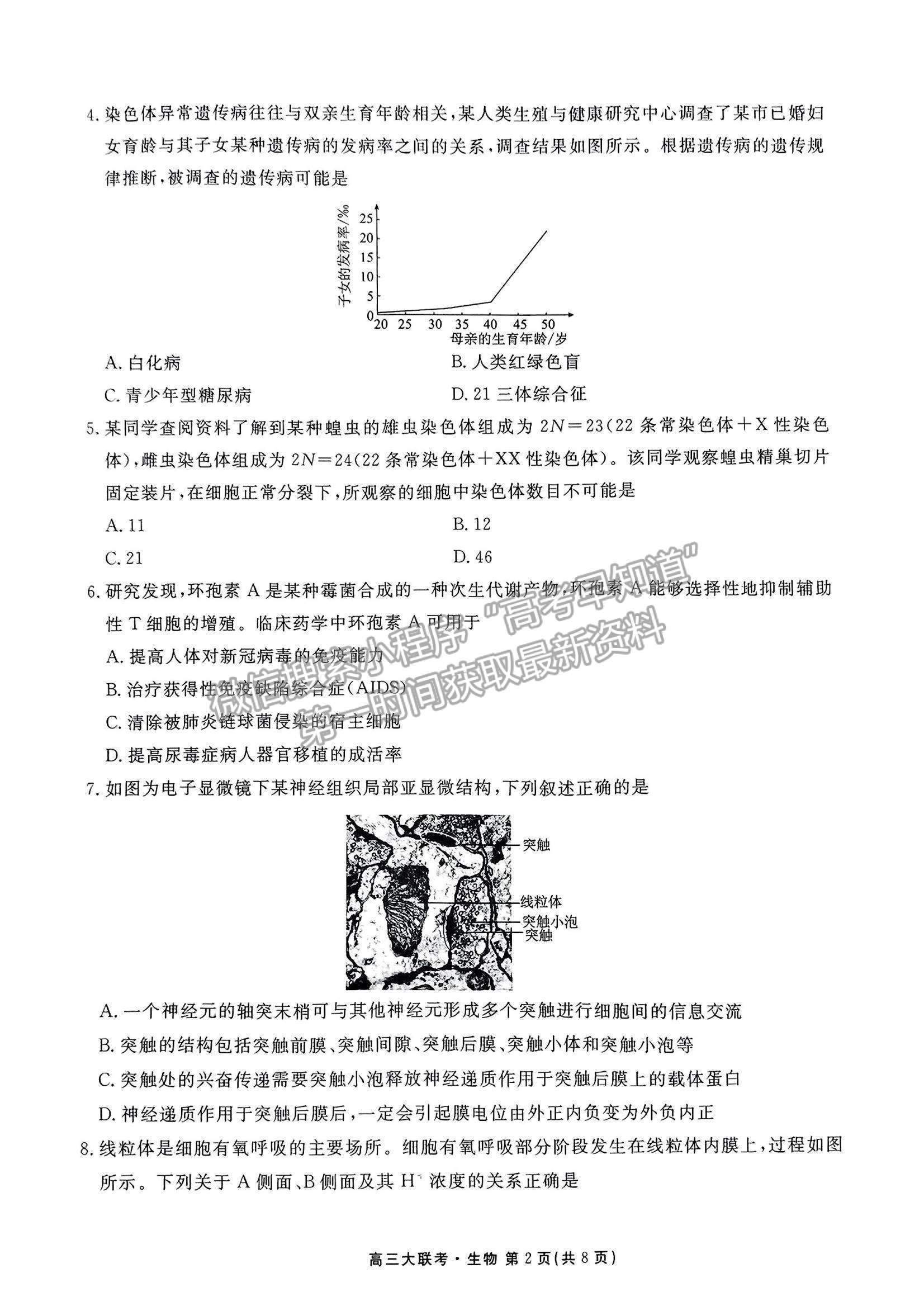 2023廣東衡水10月大聯(lián)考生物試題及參考答案