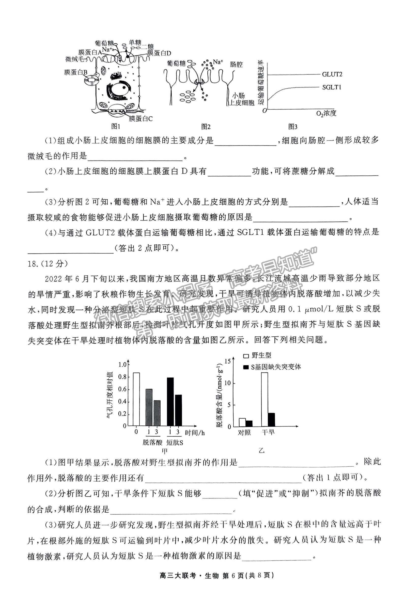 2023廣東衡水10月大聯(lián)考生物試題及參考答案