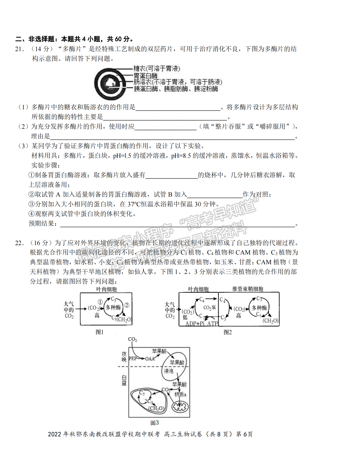 2022年秋季鄂東南省級示范高中教育教學改革聯(lián)盟學校期中聯(lián)考生物試卷及答案