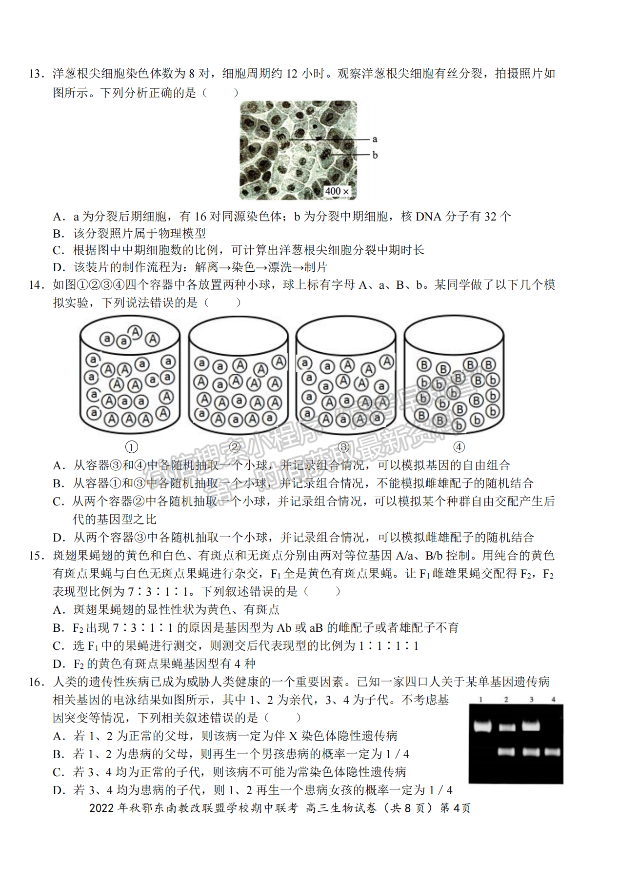 2022年秋季鄂東南省級(jí)示范高中教育教學(xué)改革聯(lián)盟學(xué)校期中聯(lián)考生物試卷及答案