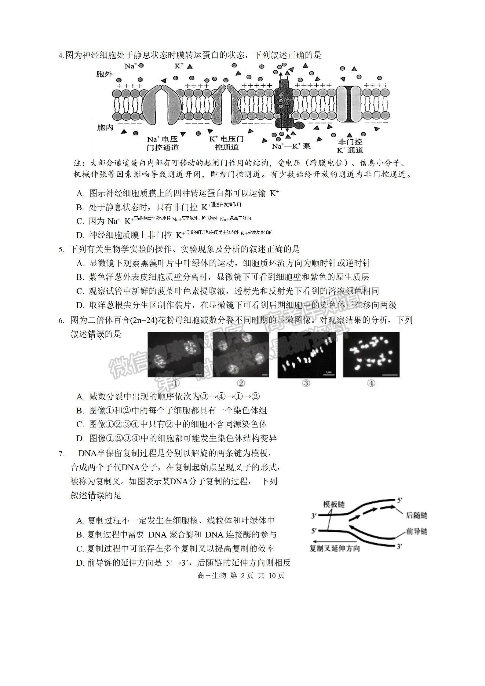 2023屆江蘇省蘇州市高三上學(xué)期期中調(diào)研生物試題及參考答案