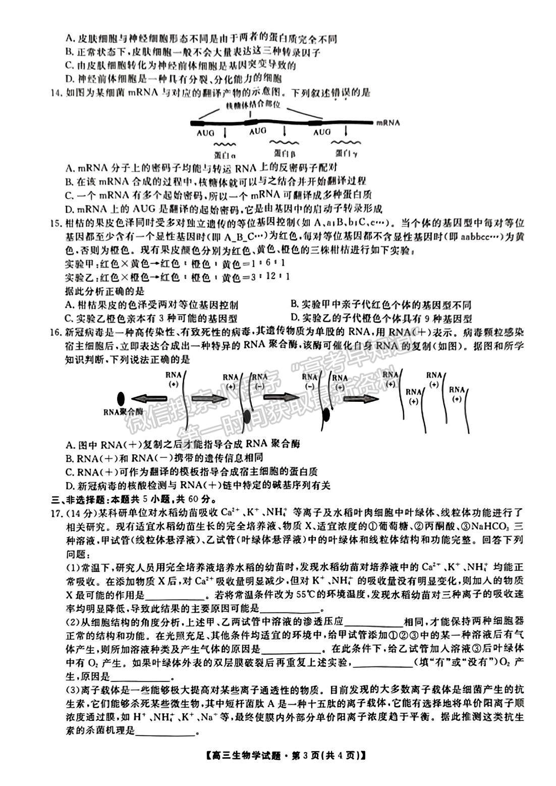 2023屆湖南省三湘名校教育聯(lián)盟大聯(lián)考生物試題及參考答案