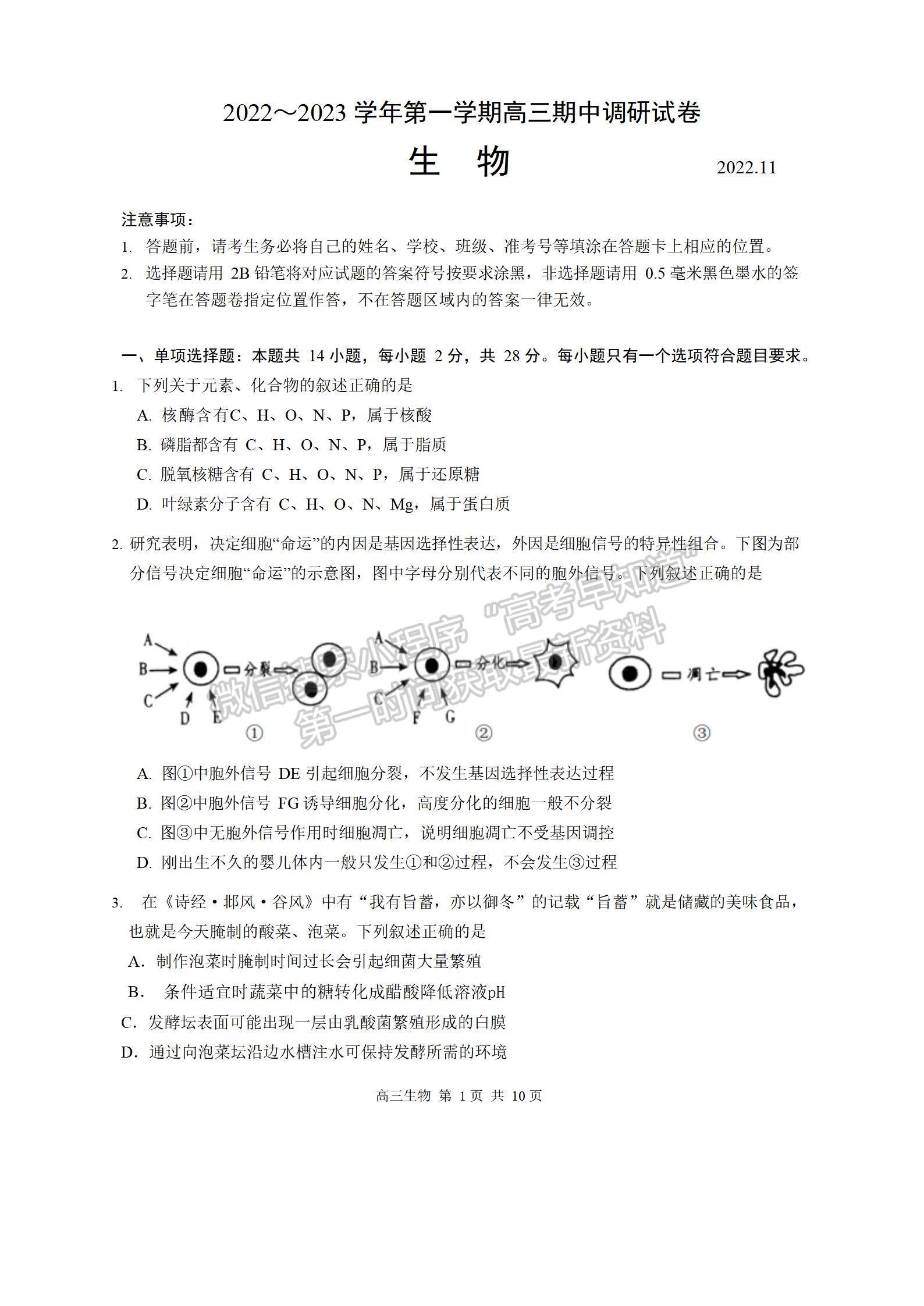 2023屆江蘇省蘇州市高三上學(xué)期期中調(diào)研生物試題及參考答案