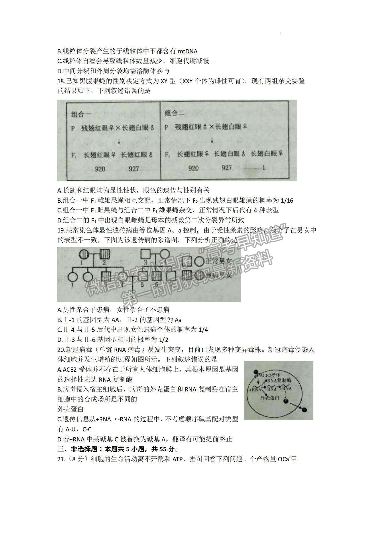 2023山東煙臺期中考試-生物試卷及答案