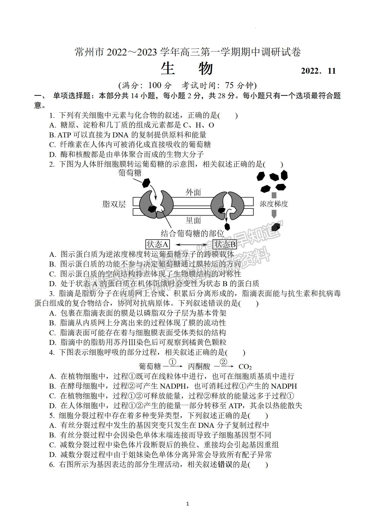 2023屆江蘇省常州市高三上學(xué)期期中考試生物試題及參考答案