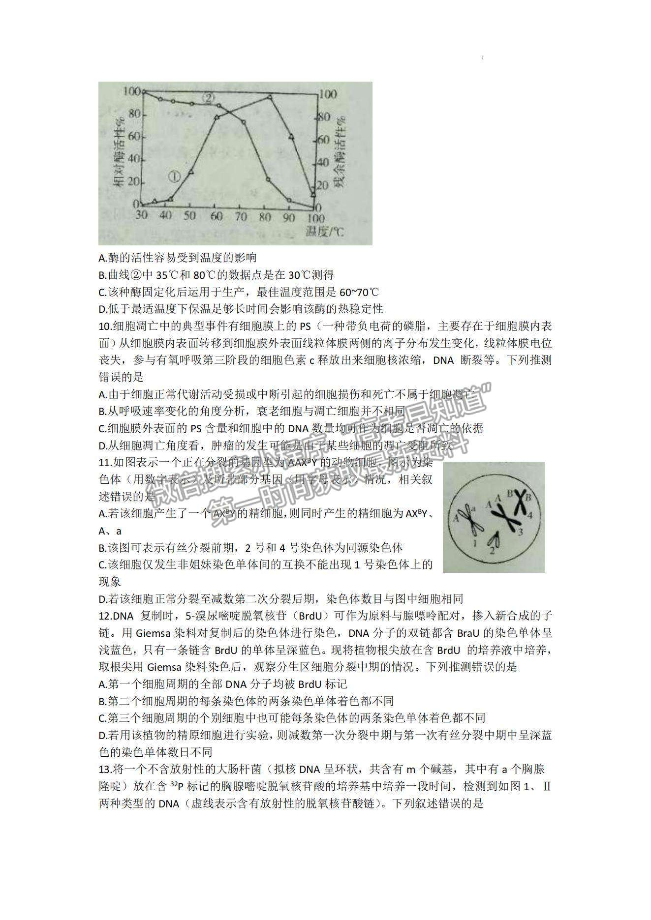 2023山東煙臺(tái)期中考試-生物試卷及答案