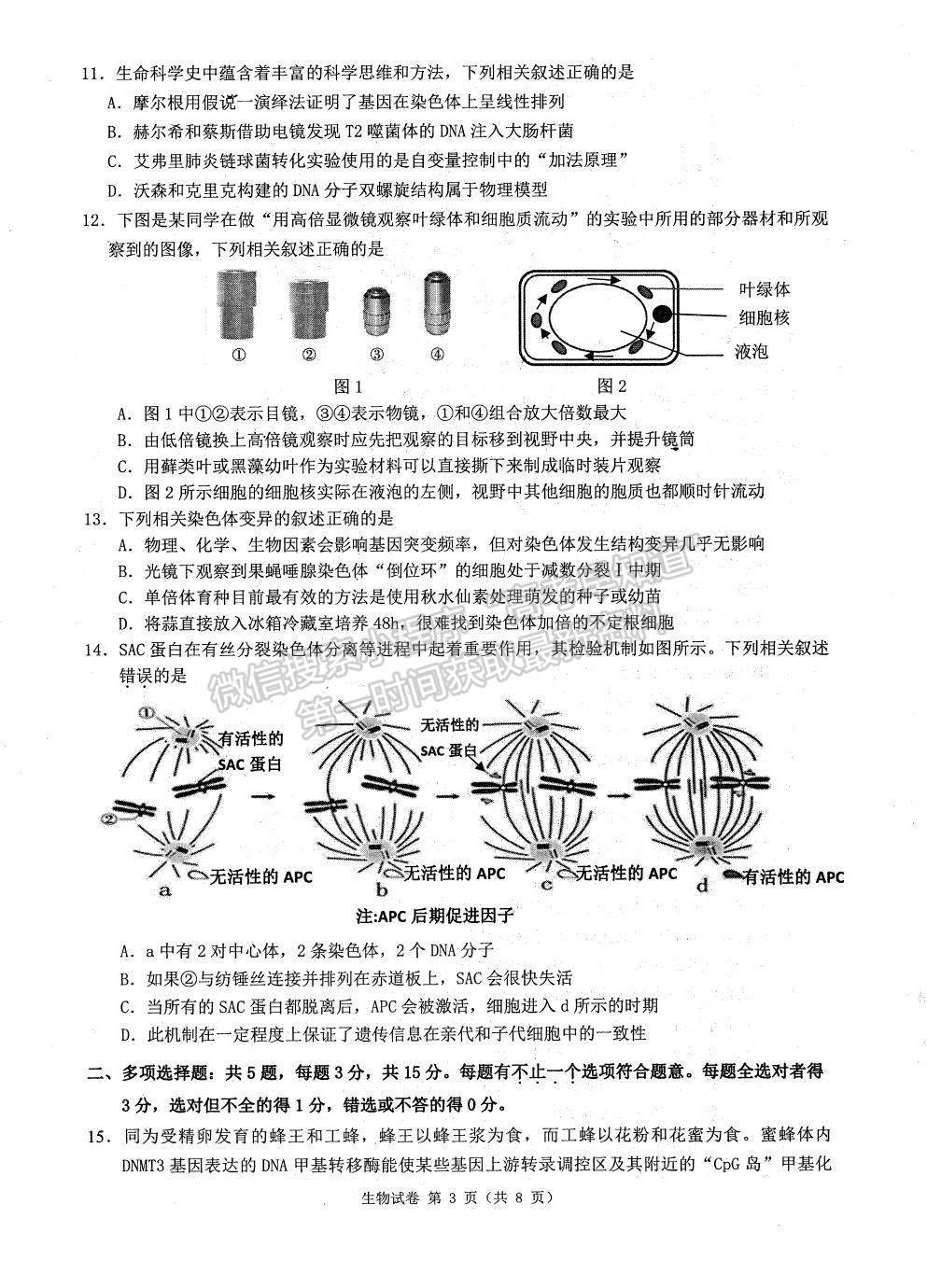 2023屆江蘇省連云港市高三上學期期中調(diào)研生物試題及答案