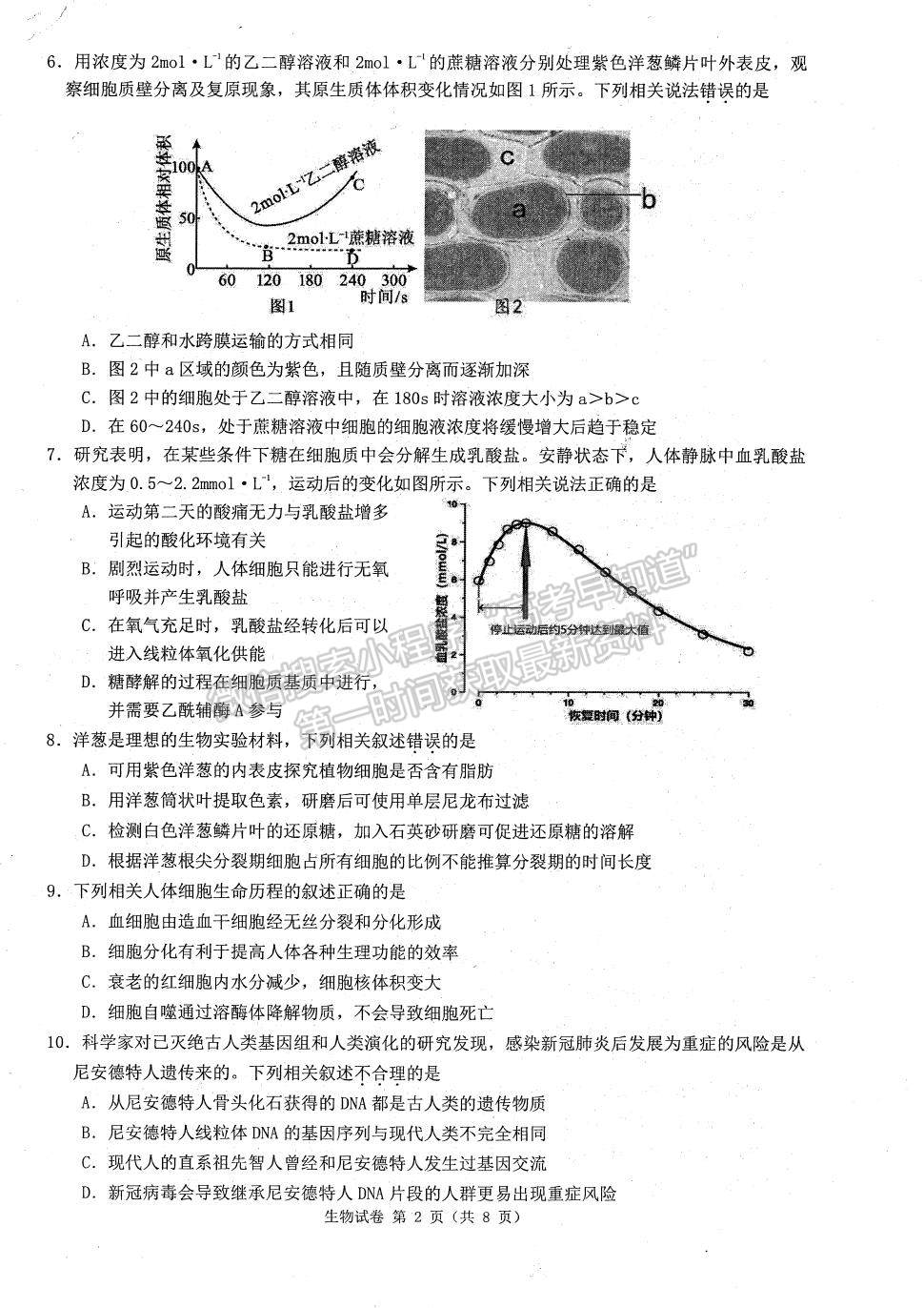 2023屆江蘇省連云港市高三上學期期中調(diào)研生物試題及答案