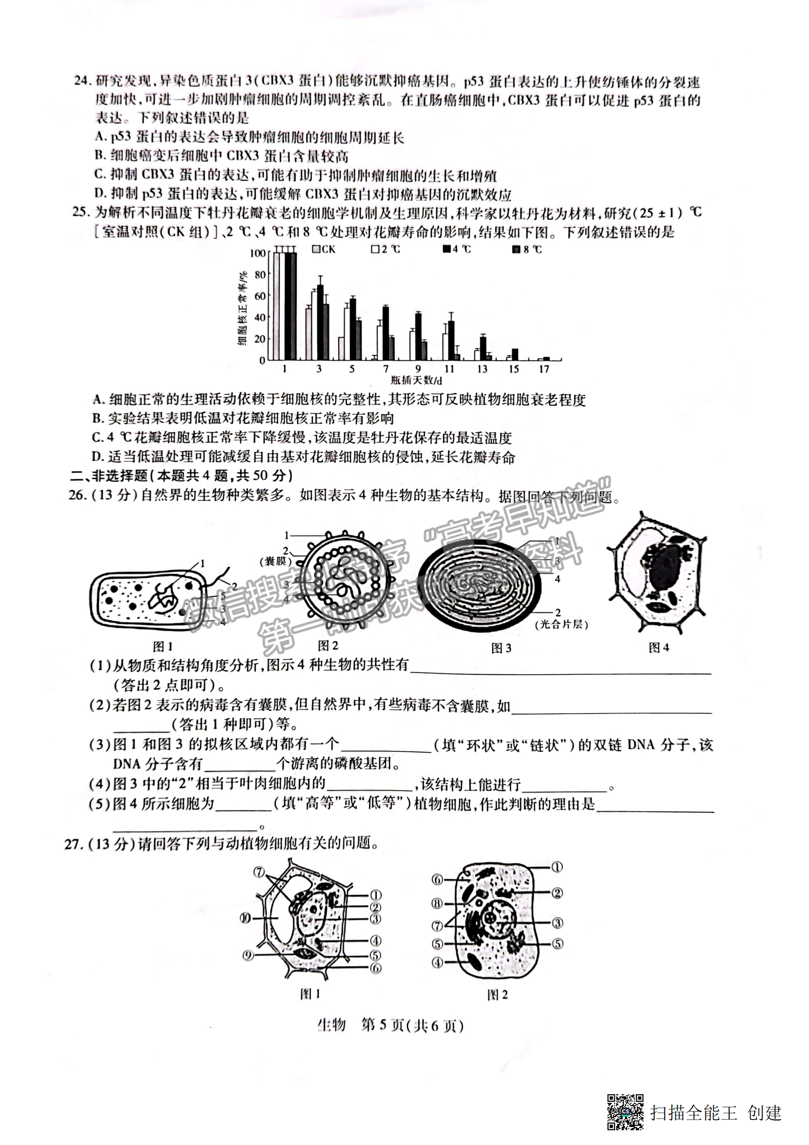 2023江西穩(wěn)派教育高三上學(xué)期11月期中生物