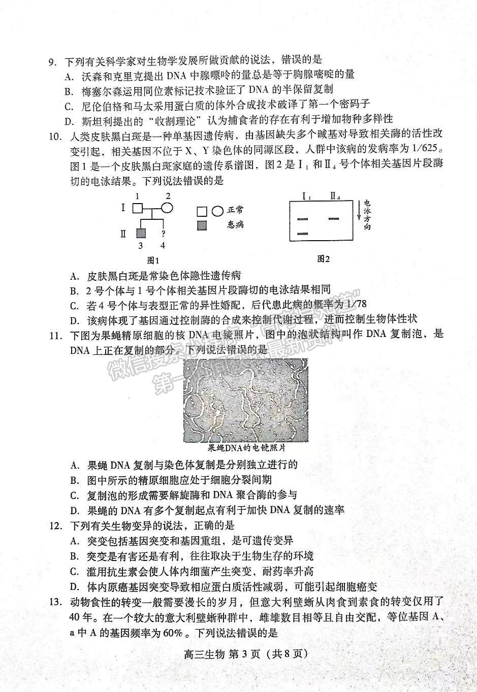 2023山東濰坊高三期中考試-生物試卷及答案