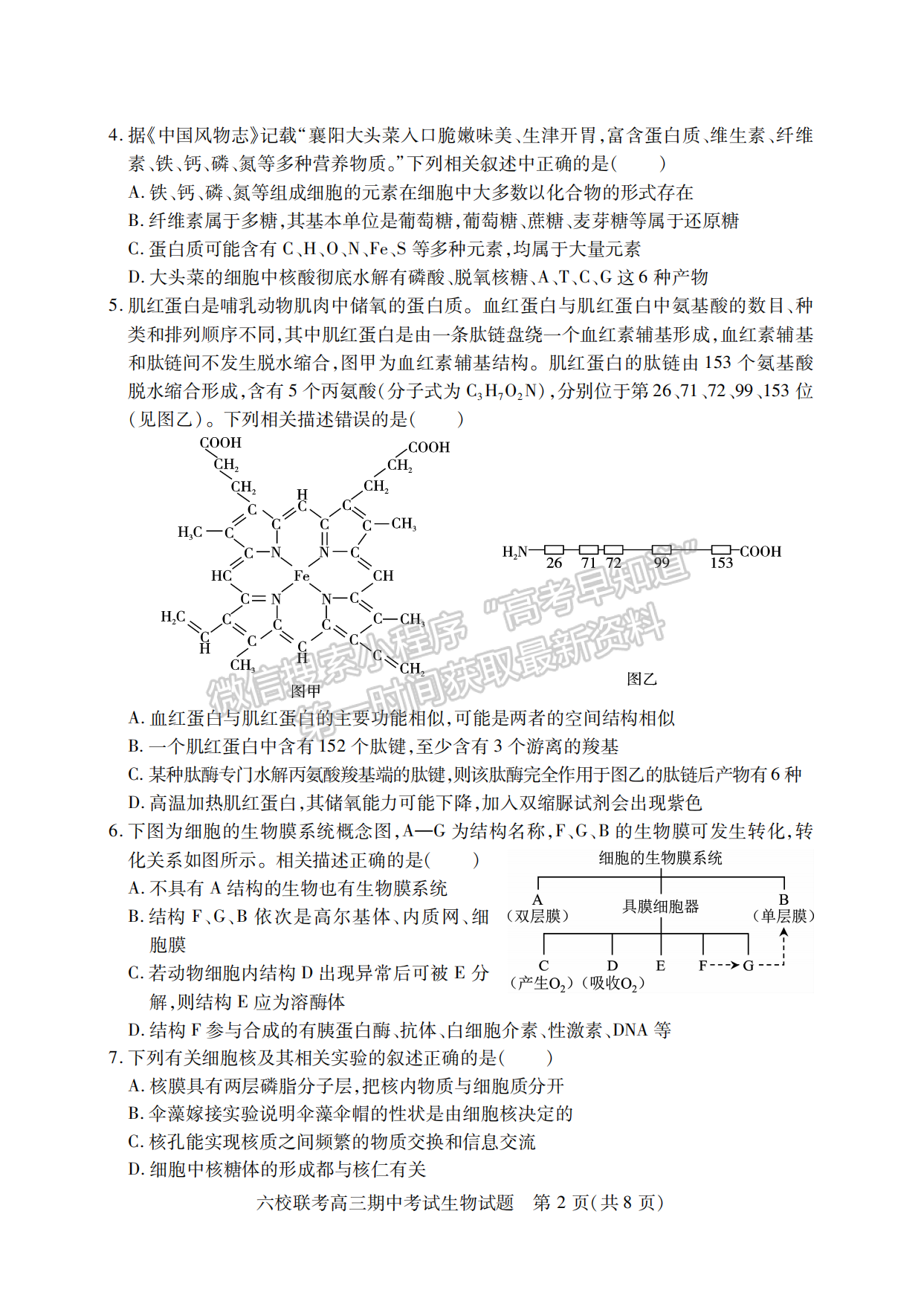 2022-2023學年湖北省鄂西北六校高三期中考生物試卷及答案