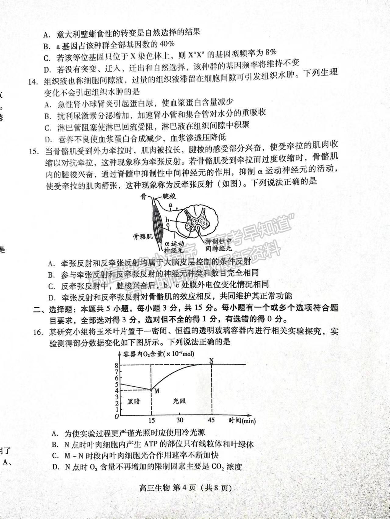 2023山東濰坊高三期中考試-生物試卷及答案