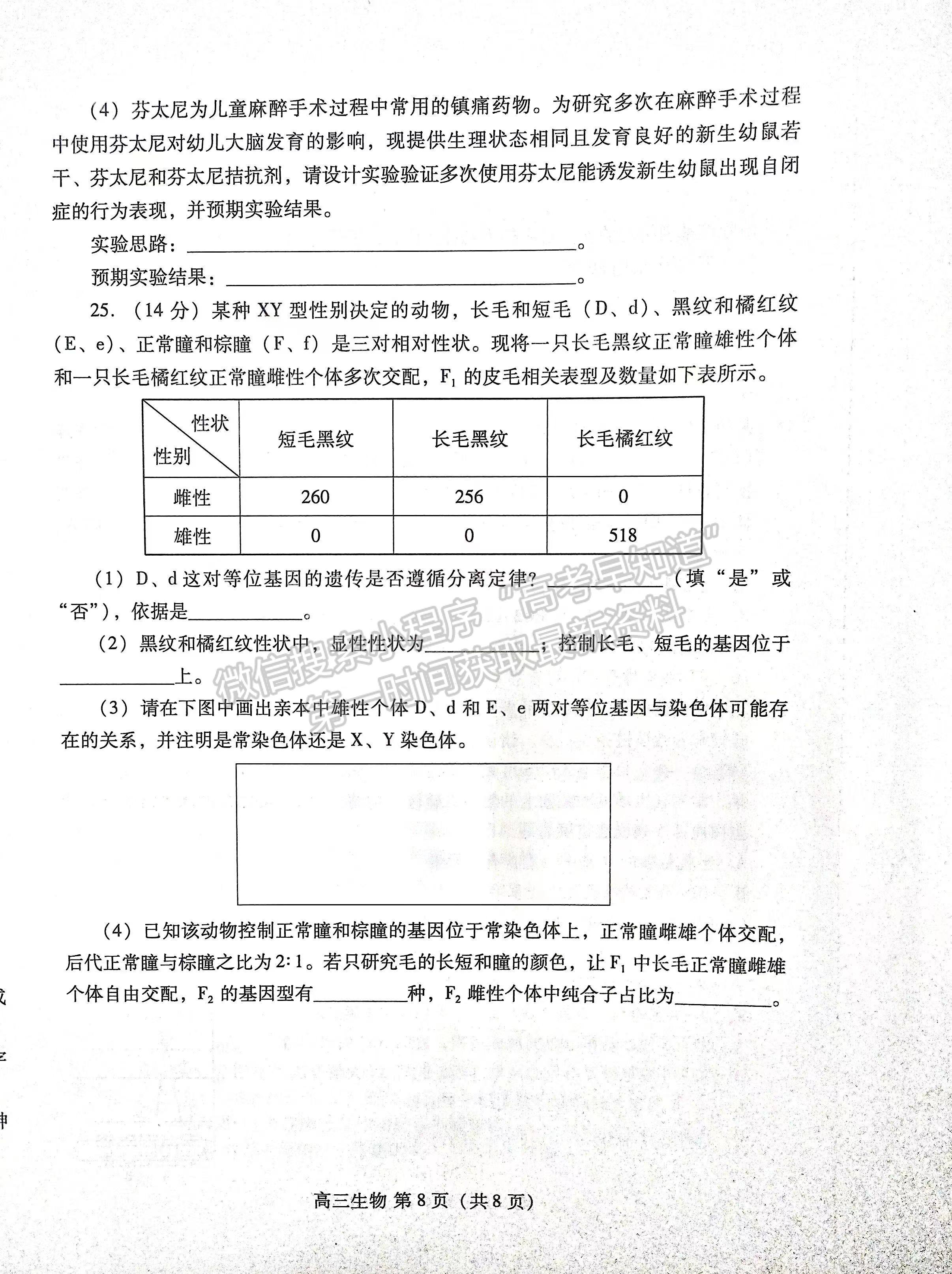 2023山東濰坊高三期中考試-生物試卷及答案