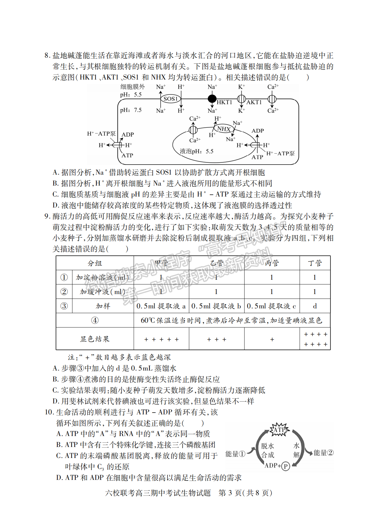 2022-2023學年湖北省鄂西北六校高三期中考生物試卷及答案