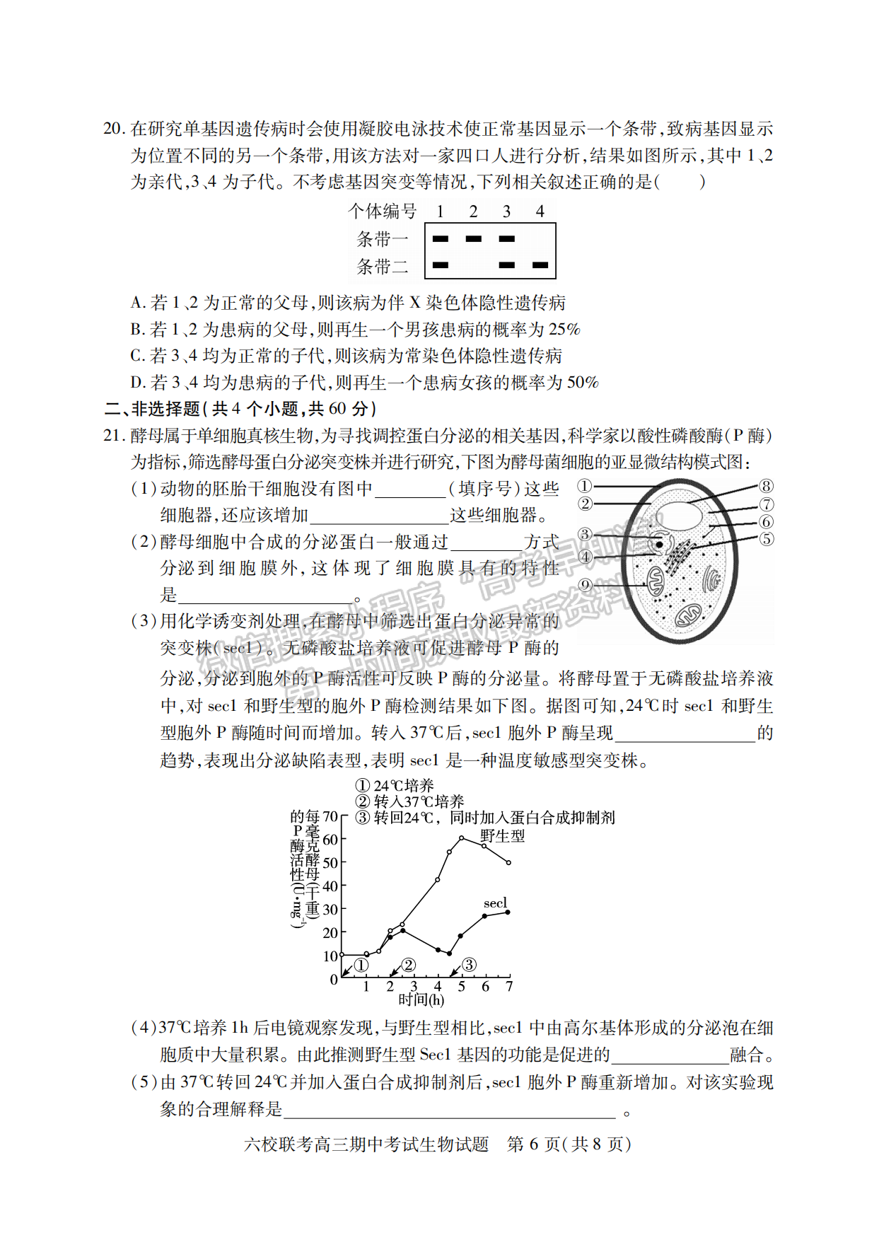 2022-2023學年湖北省鄂西北六校高三期中考生物試卷及答案