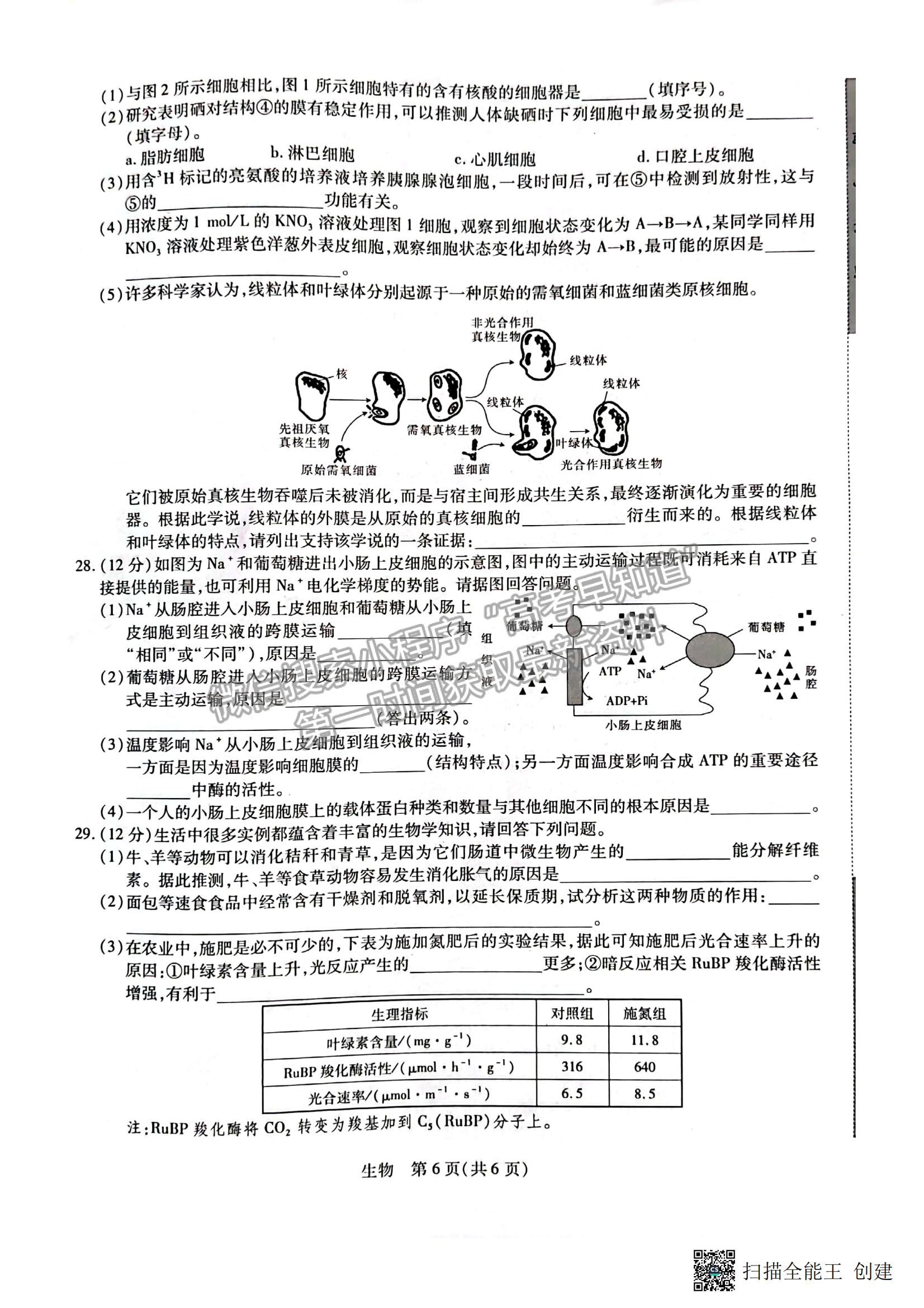 2023江西穩(wěn)派教育高三上學期11月期中政治