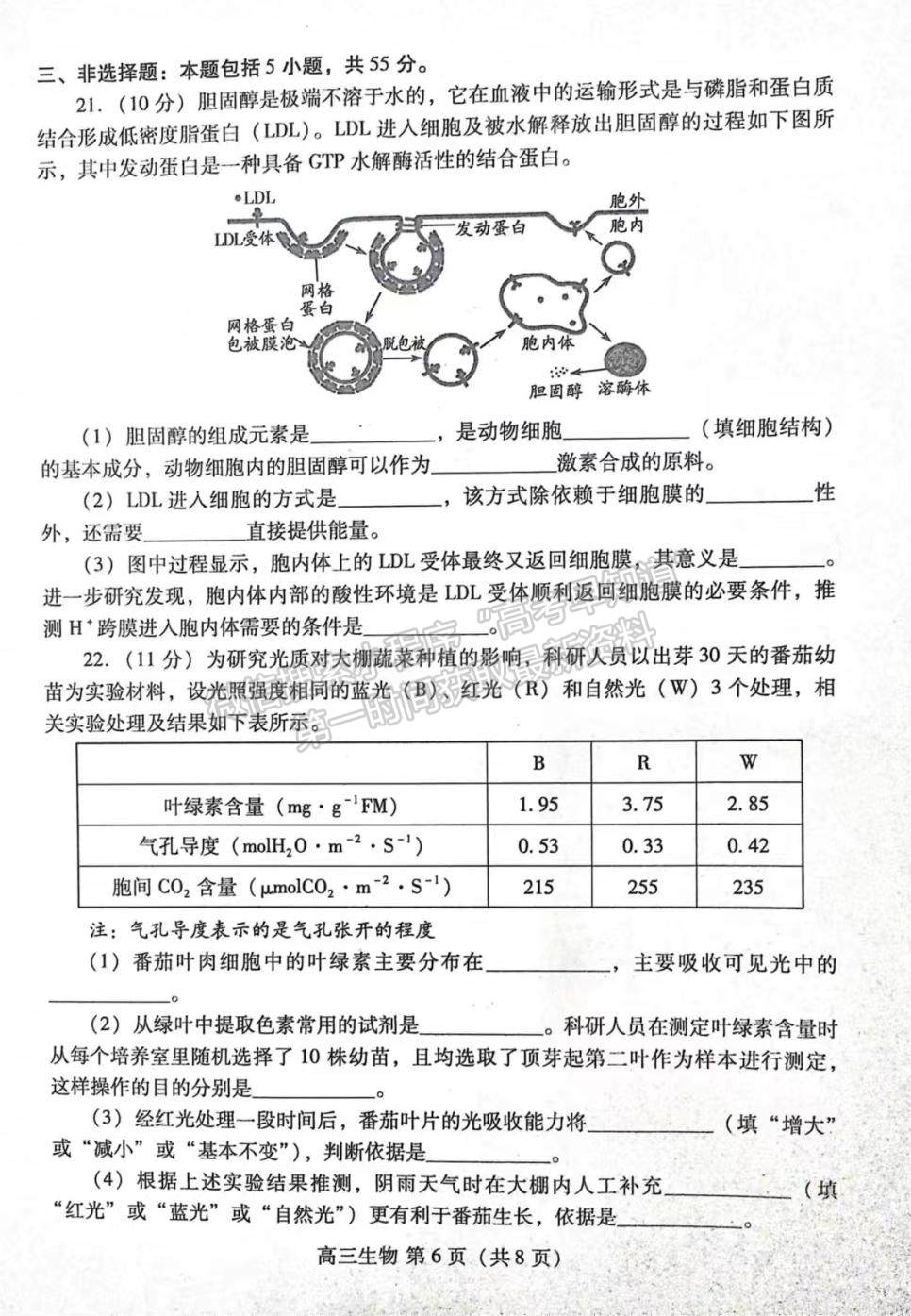 2023山東濰坊高三期中考試-生物試卷及答案