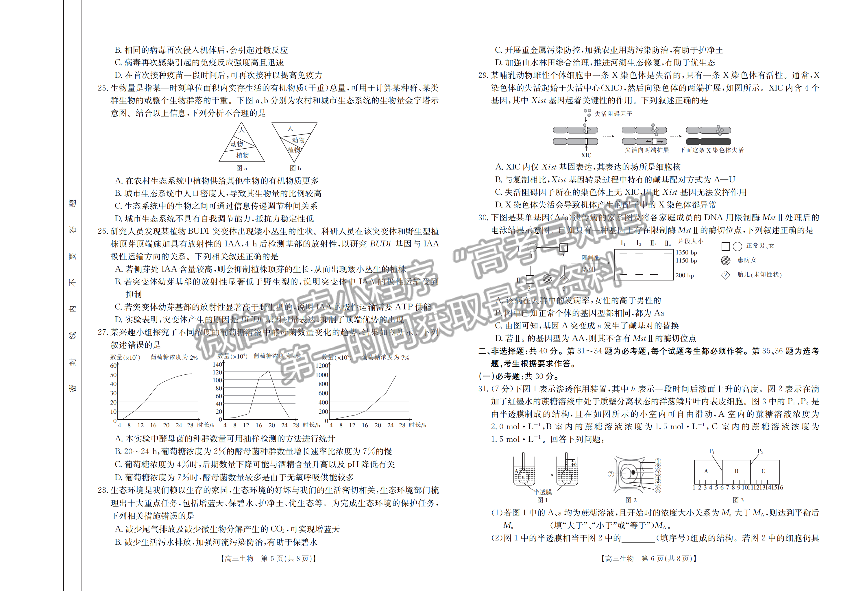 2023江西省贛州市五校高三上學(xué)期期中聯(lián)考（123C）生物