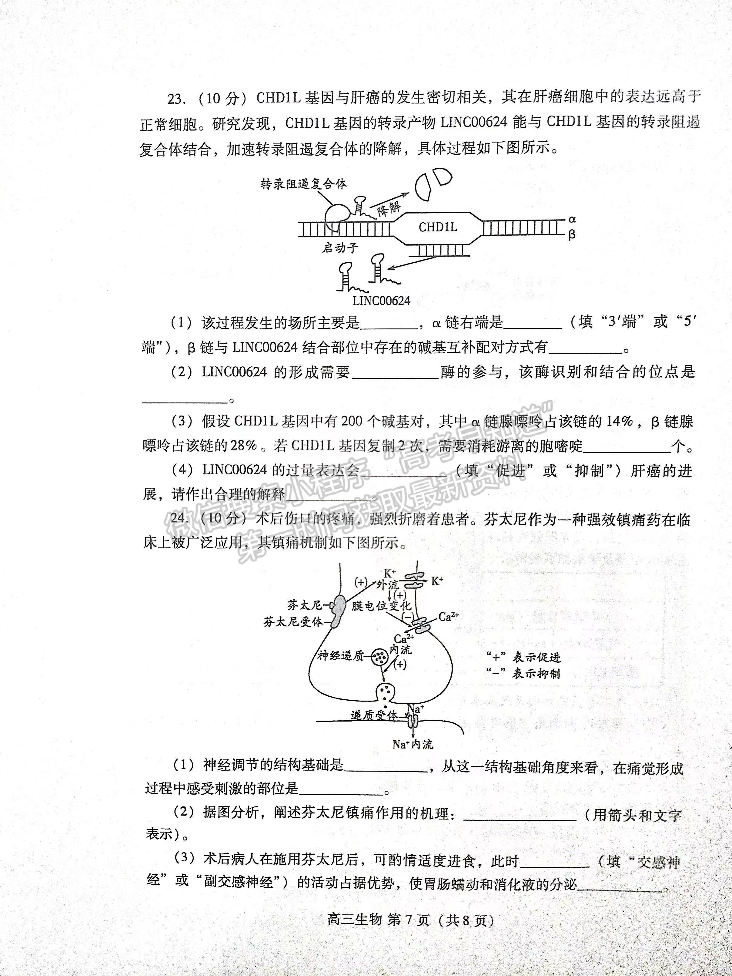 2023山東濰坊高三期中考試-生物試卷及答案