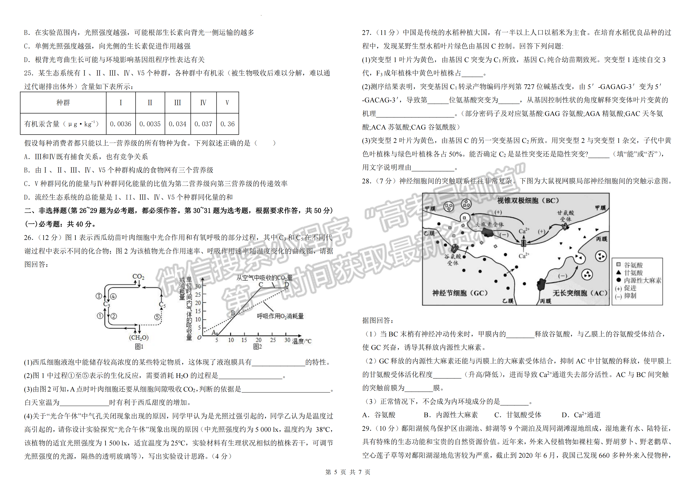 2023江西臨川一中高三期中生物試卷及答案