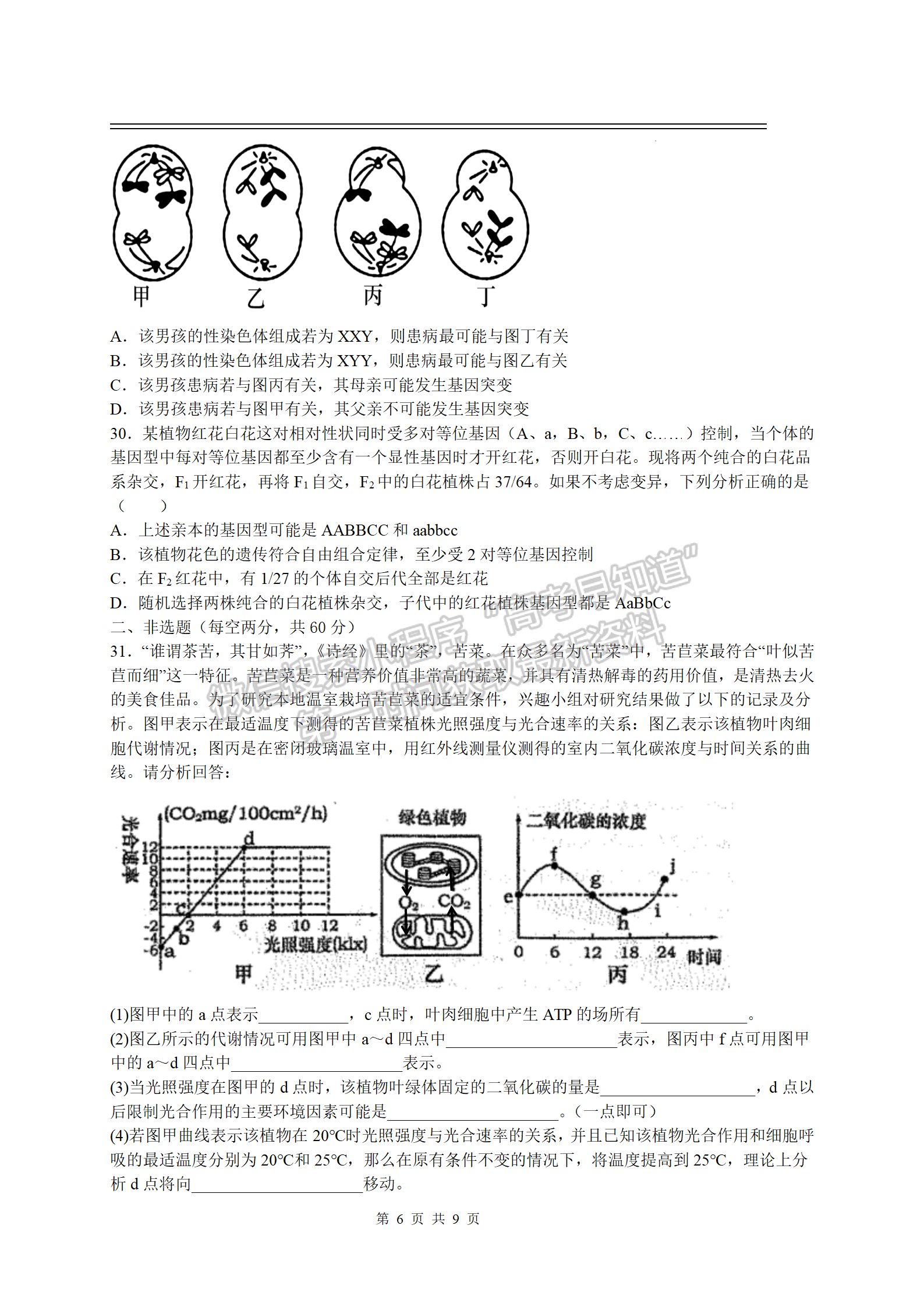 2023江西豐城中學(xué)高三上學(xué)期期中生物試卷及答案