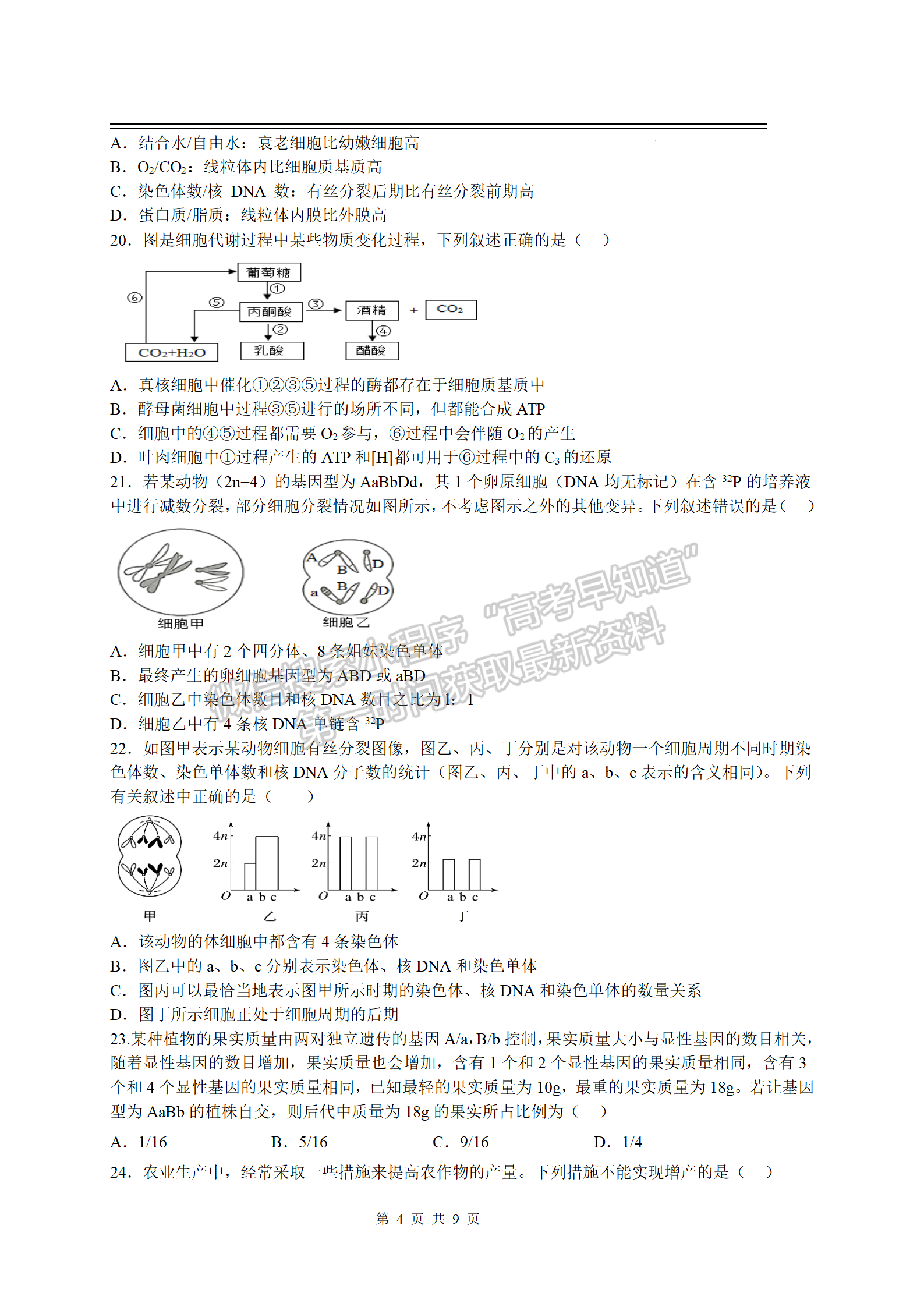 2023江西豐城中學高三上學期期中生物試卷及答案