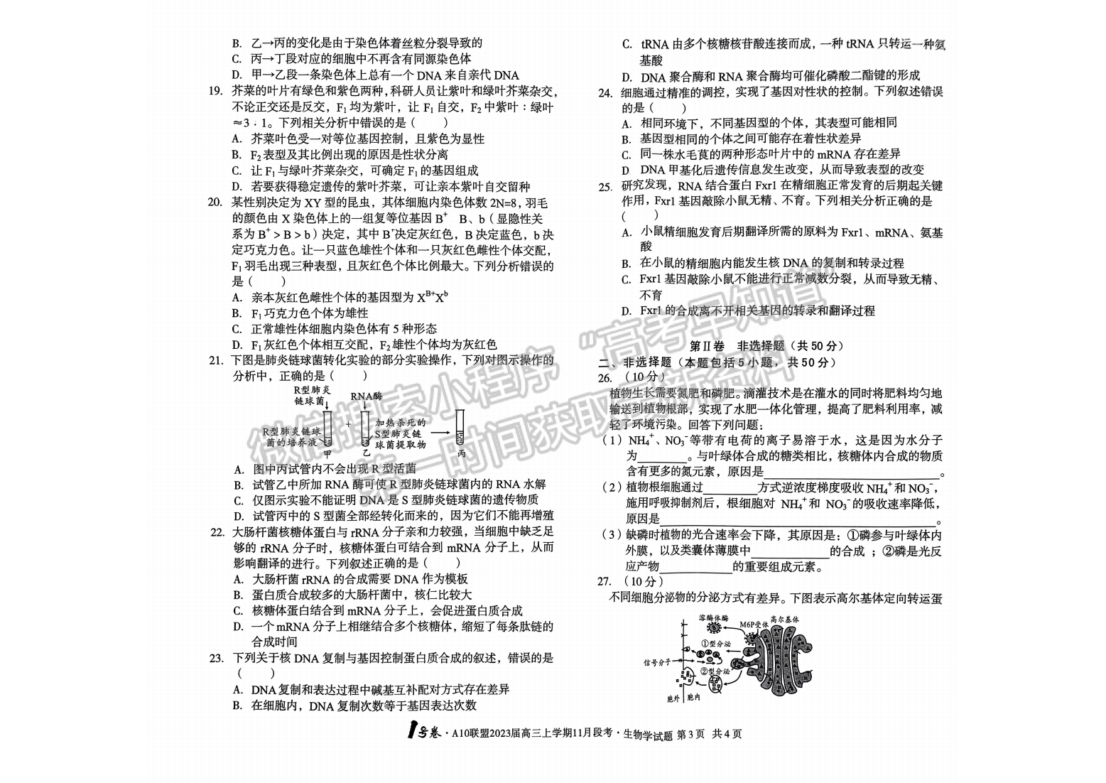 2023安徽A10聯(lián)盟高三11月聯(lián)考生物試卷及答案