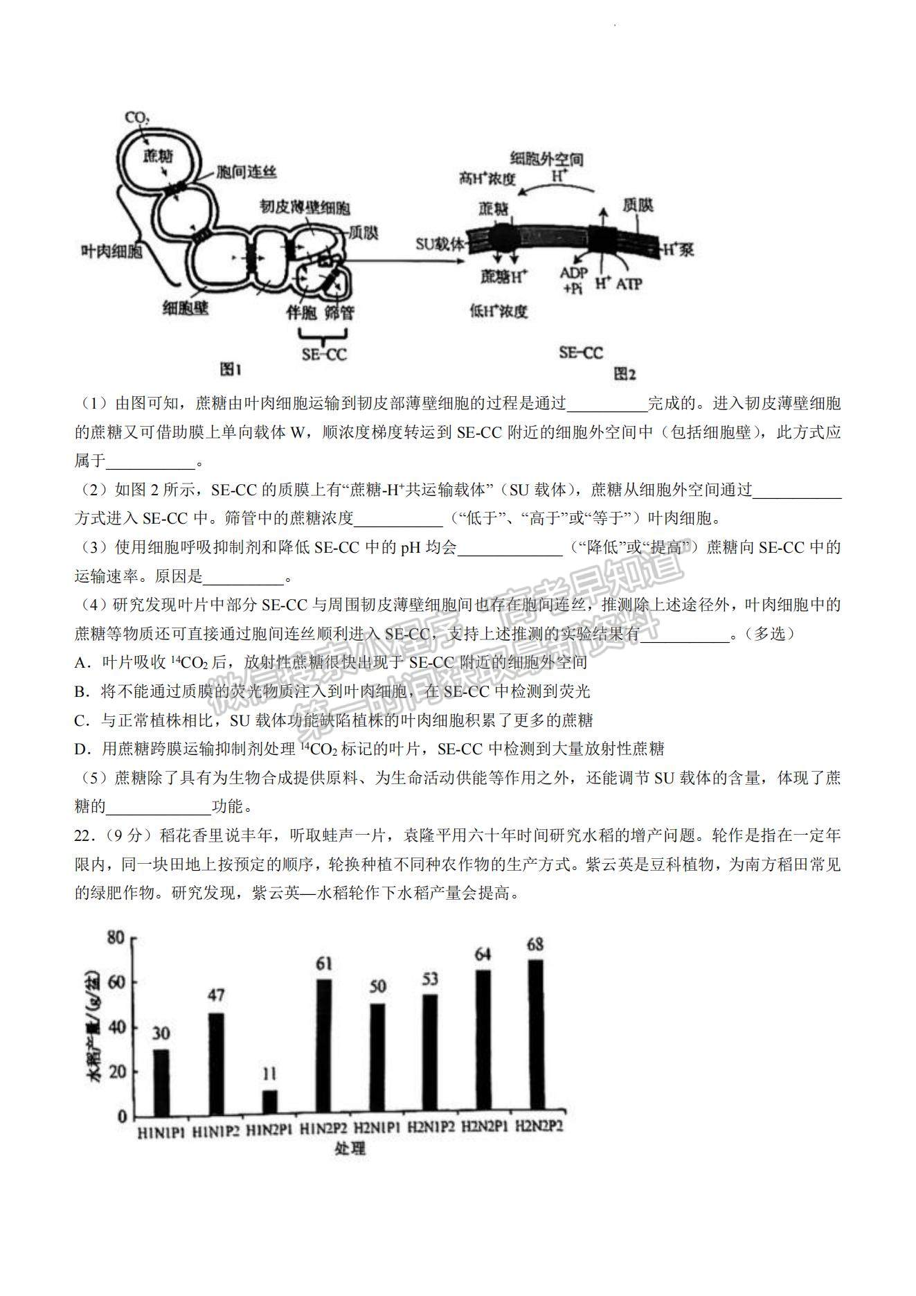 2023山東省菏澤市高三上學期期中聯(lián)考(A卷）-生物試卷及答案