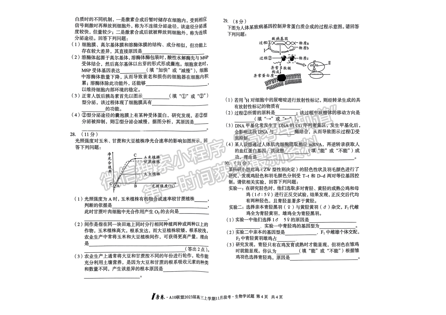 2023安徽A10聯(lián)盟高三11月聯(lián)考生物試卷及答案