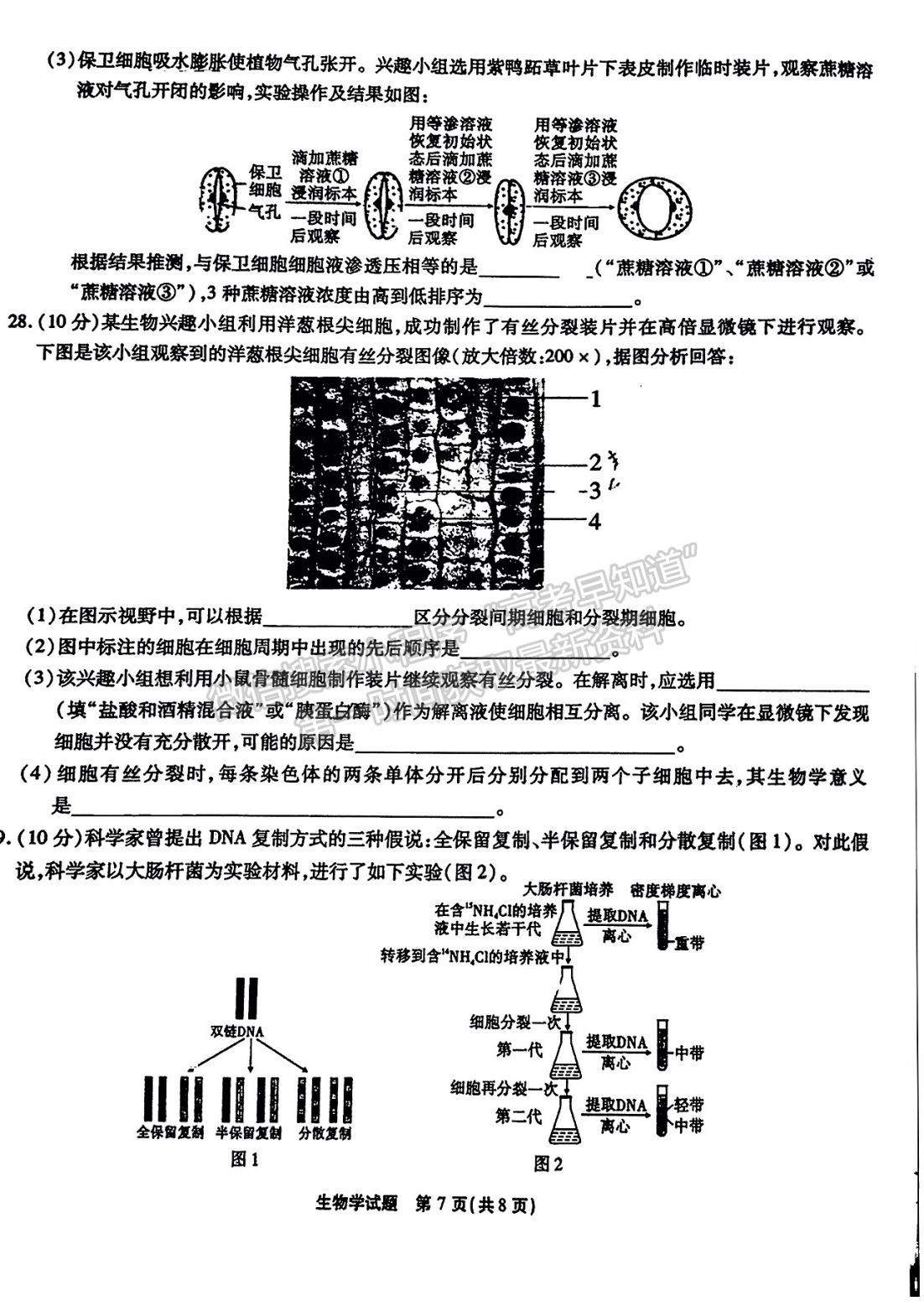 2023安徽江淮十校高三第二次聯(lián)考生物試卷及答案