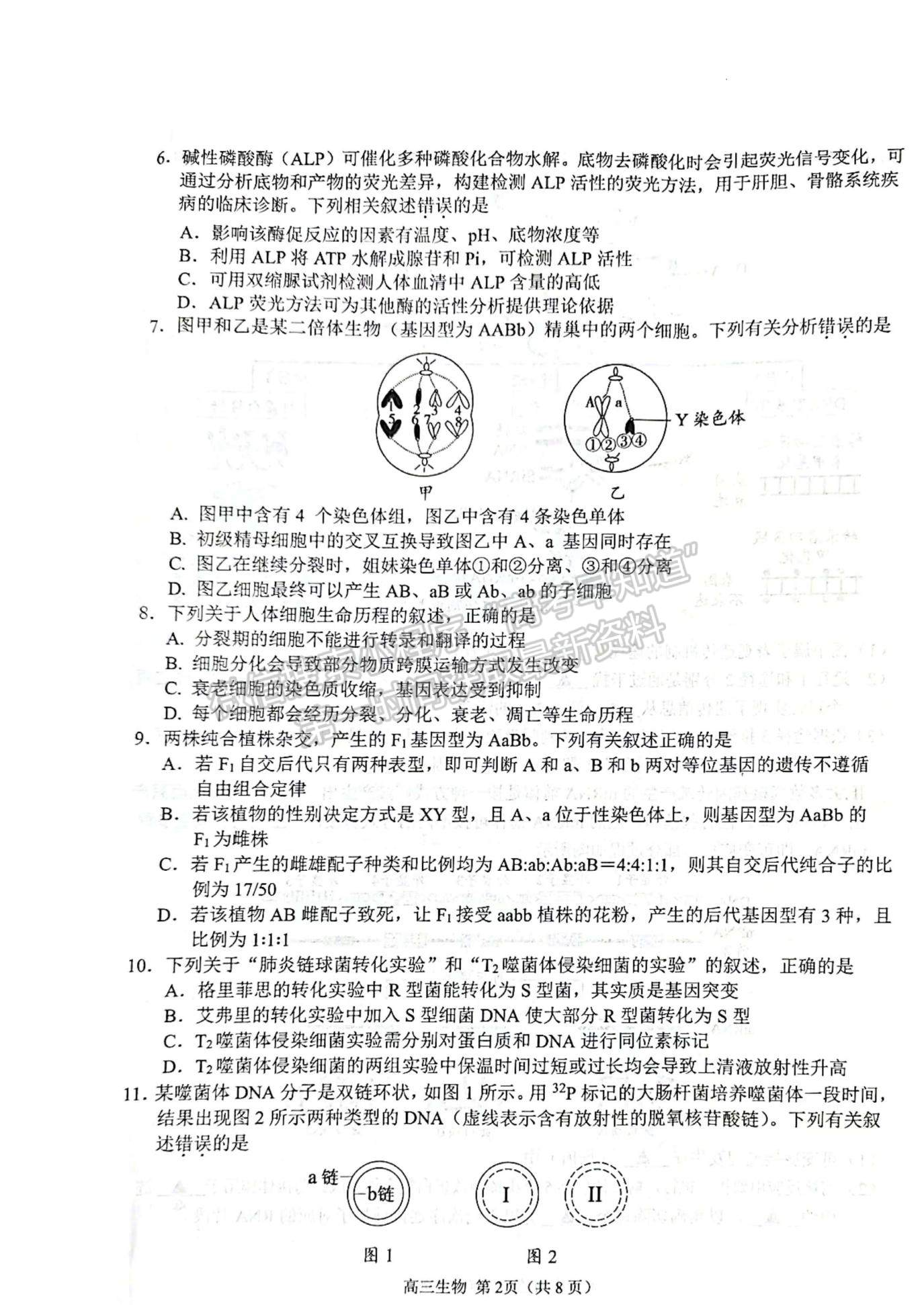 2023屆江蘇省揚(yáng)州市高三上學(xué)期期中調(diào)研生物試題及參考答案