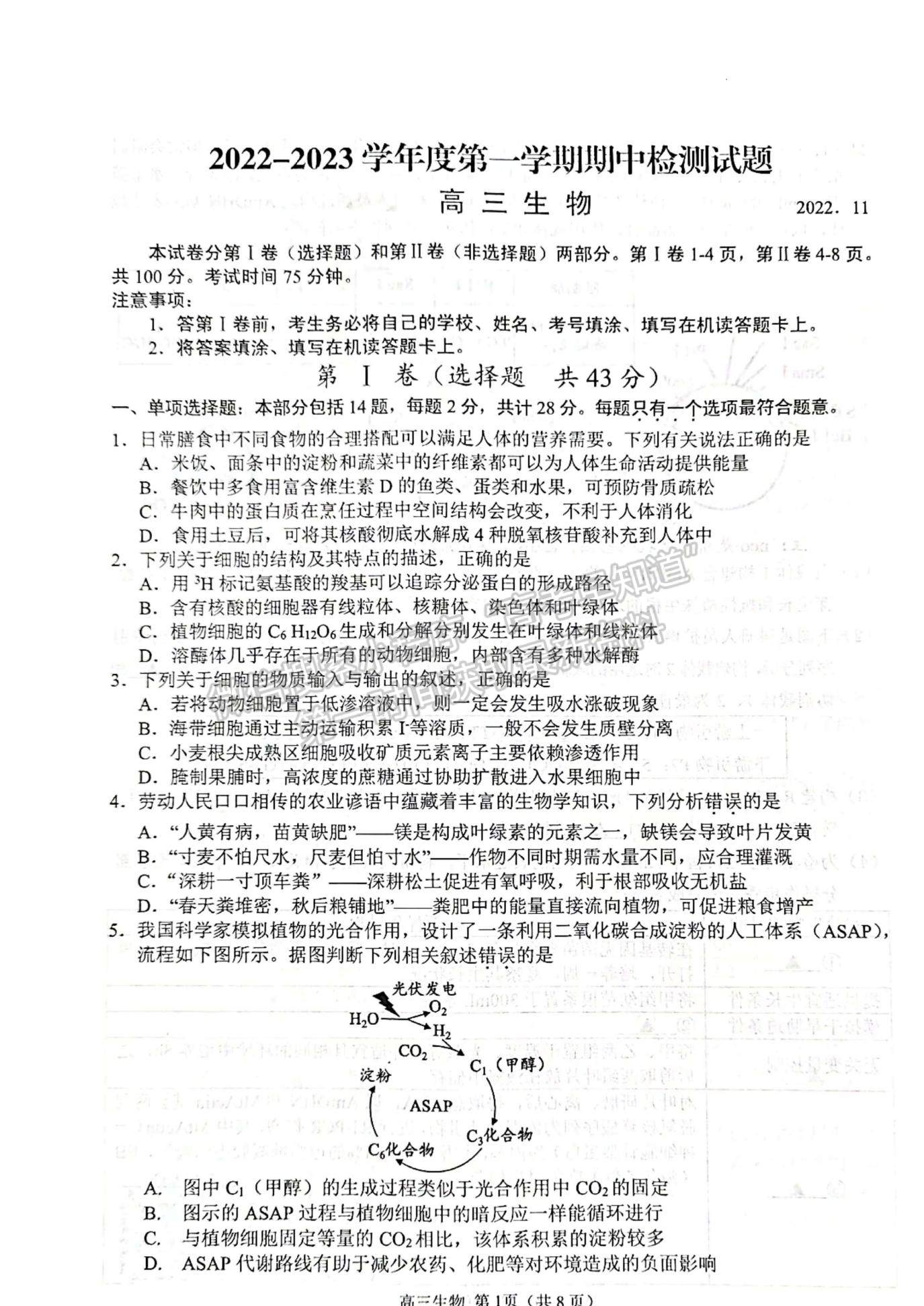 2023屆江蘇省揚州市高三上學期期中調研生物試題及參考答案