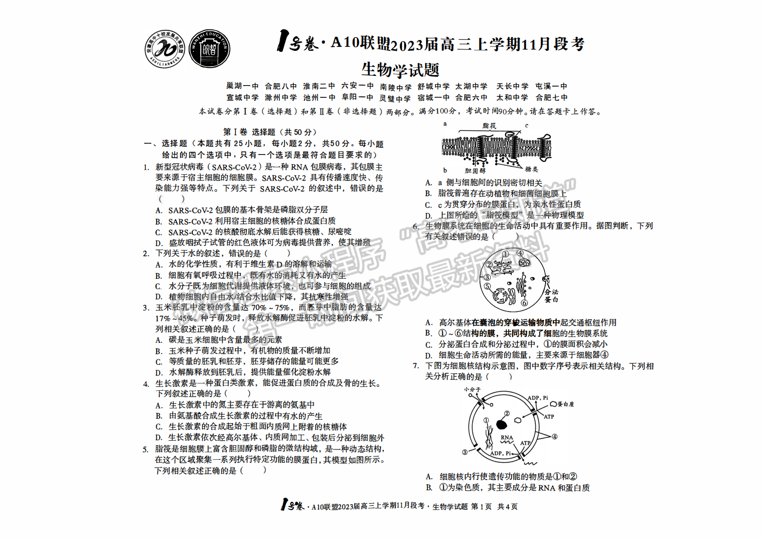 2023安徽A10聯(lián)盟高三11月聯(lián)考生物試卷及答案