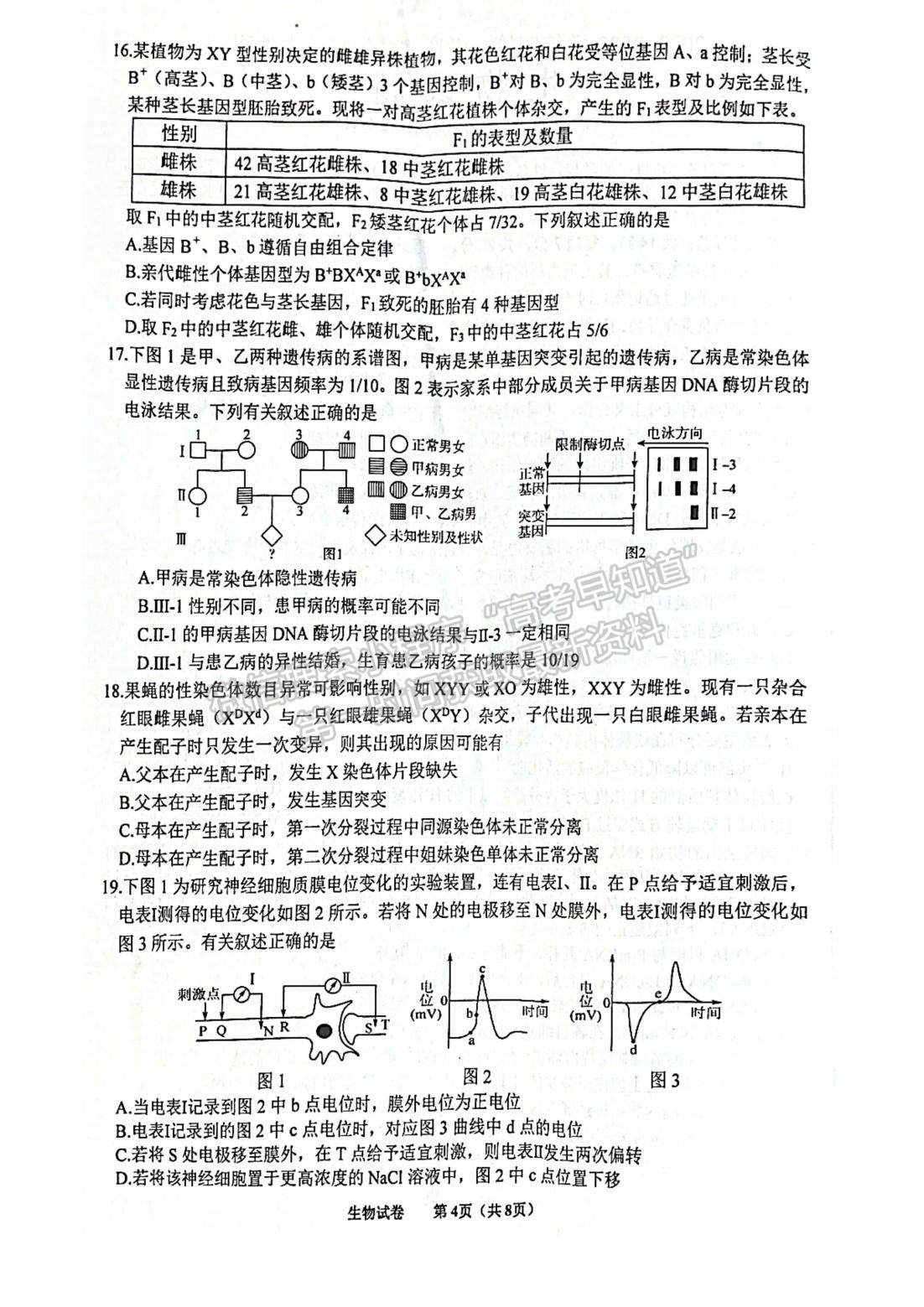 2023屆江蘇省徐州市高三上學(xué)期期中考試生物試題及參考答案