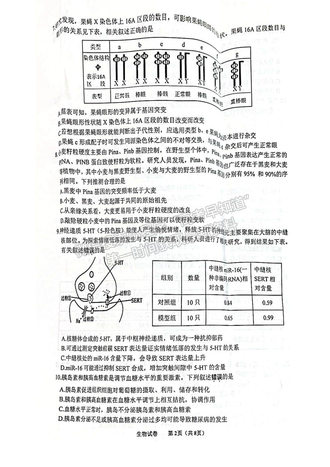 2023屆江蘇省徐州市高三上學期期中考試生物試題及參考答案