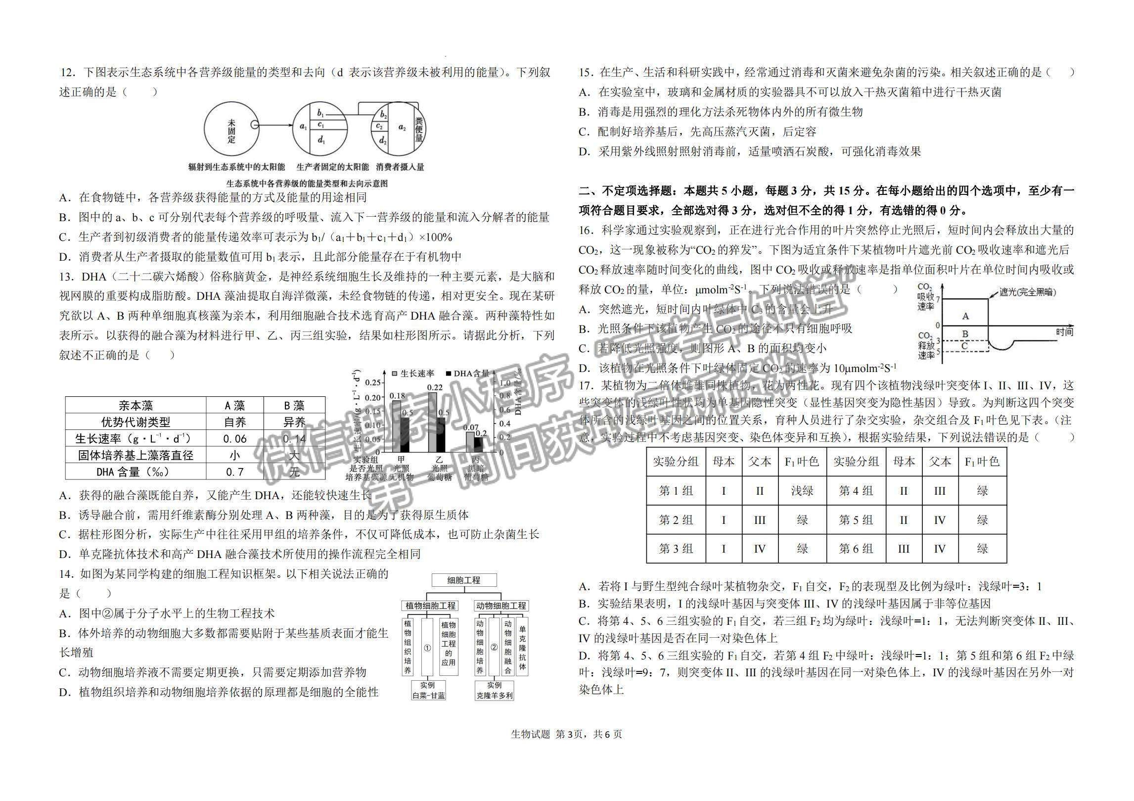 2023山東省青島第二中學(xué)高三上學(xué)期11月期中考試-生物試卷及答案