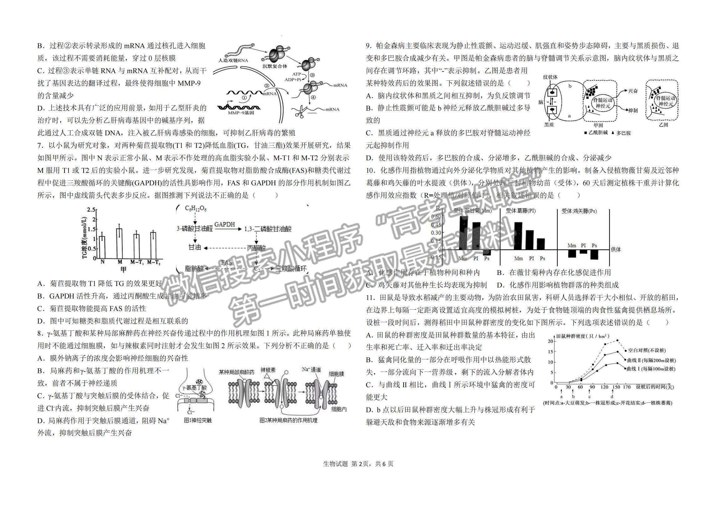 2023山東省青島第二中學(xué)高三上學(xué)期11月期中考試-生物試卷及答案