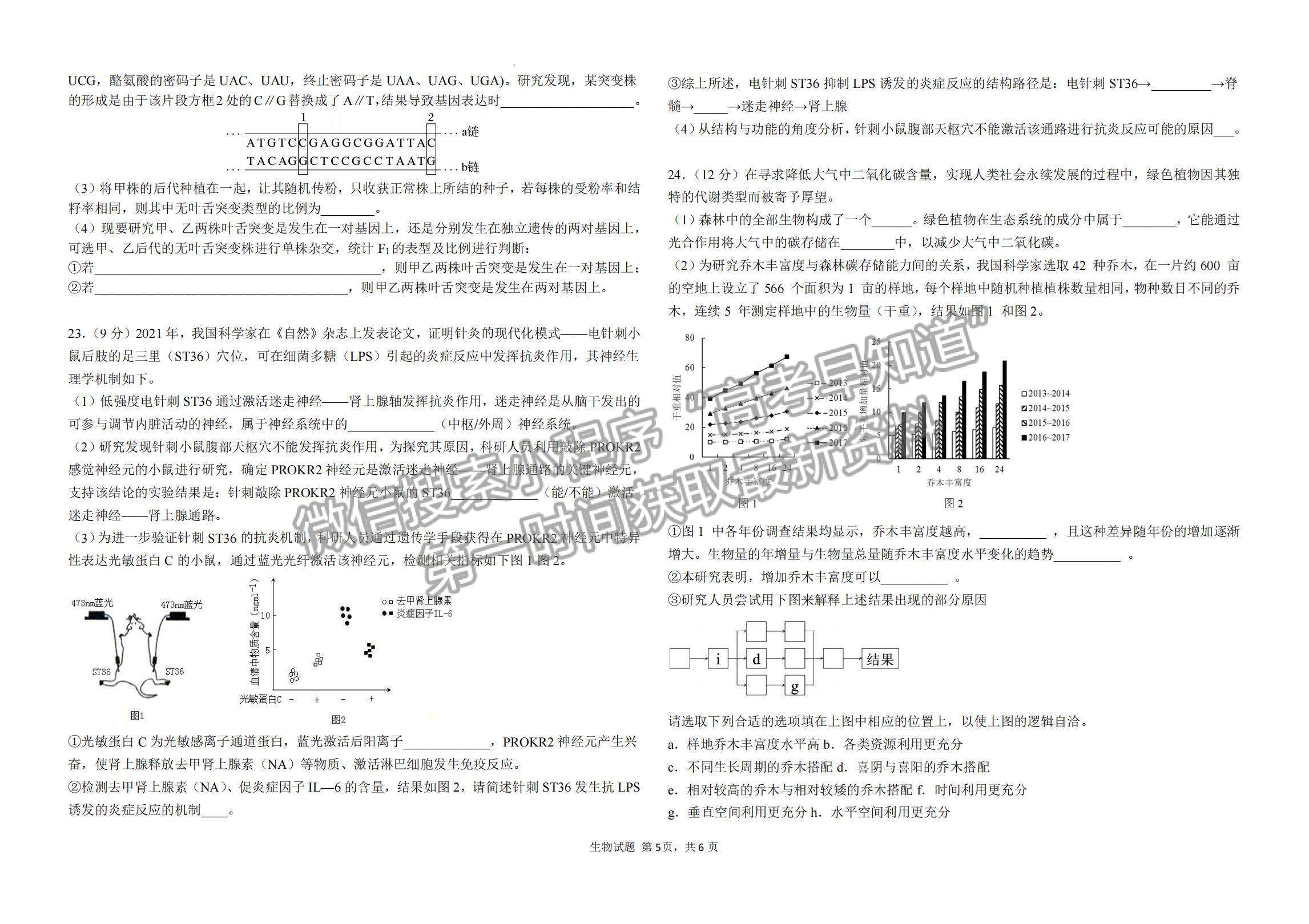 2023山東省青島第二中學(xué)高三上學(xué)期11月期中考試-生物試卷及答案