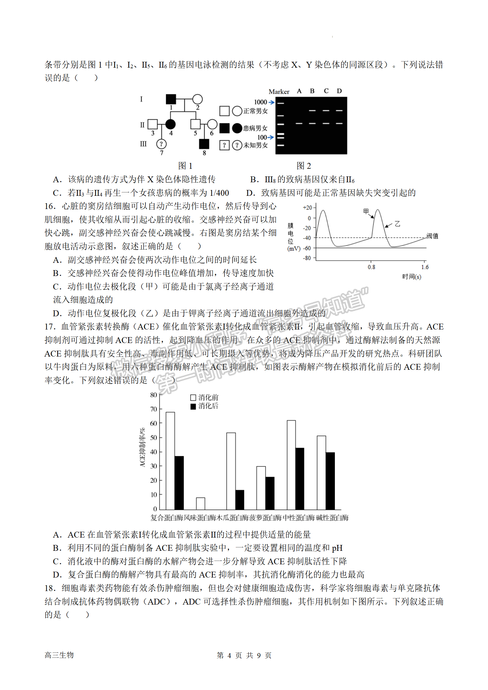 2023屆南京市第一中學高三上學期期中考試生物試題及參考答案