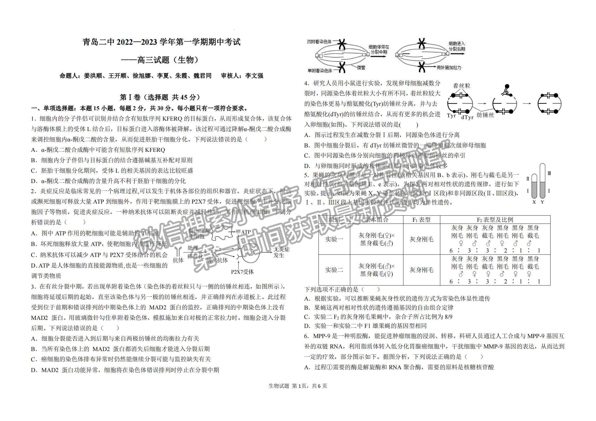 2023山東省青島第二中學高三上學期11月期中考試-生物試卷及答案