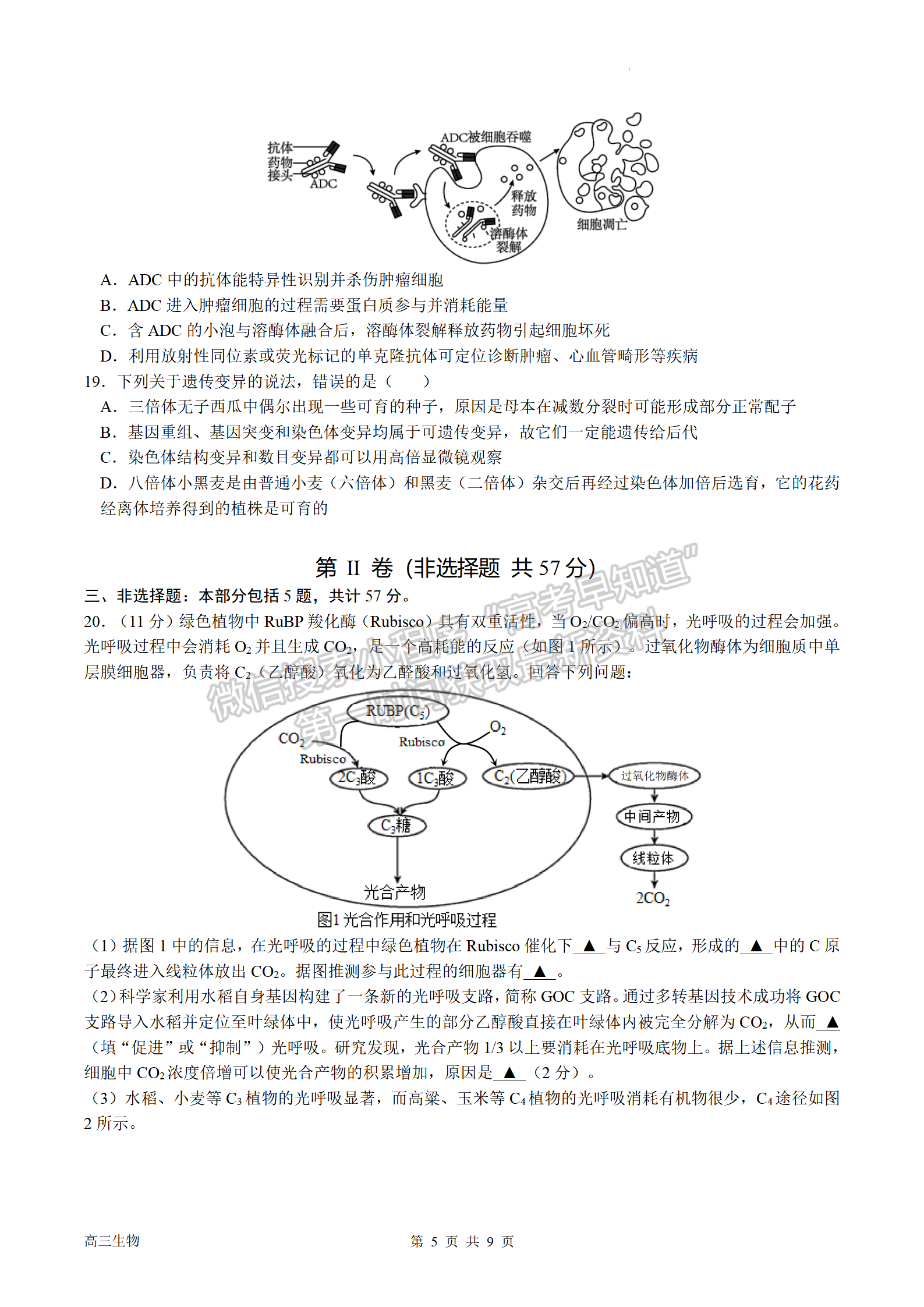 2023屆南京市第一中學高三上學期期中考試生物試題及參考答案