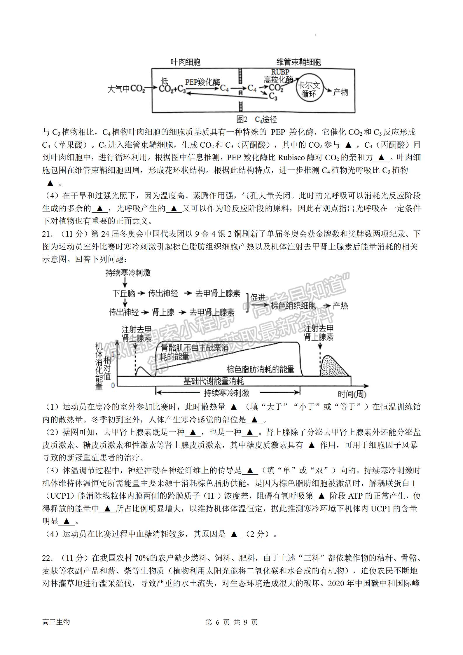 2023屆南京市第一中學(xué)高三上學(xué)期期中考試生物試題及參考答案