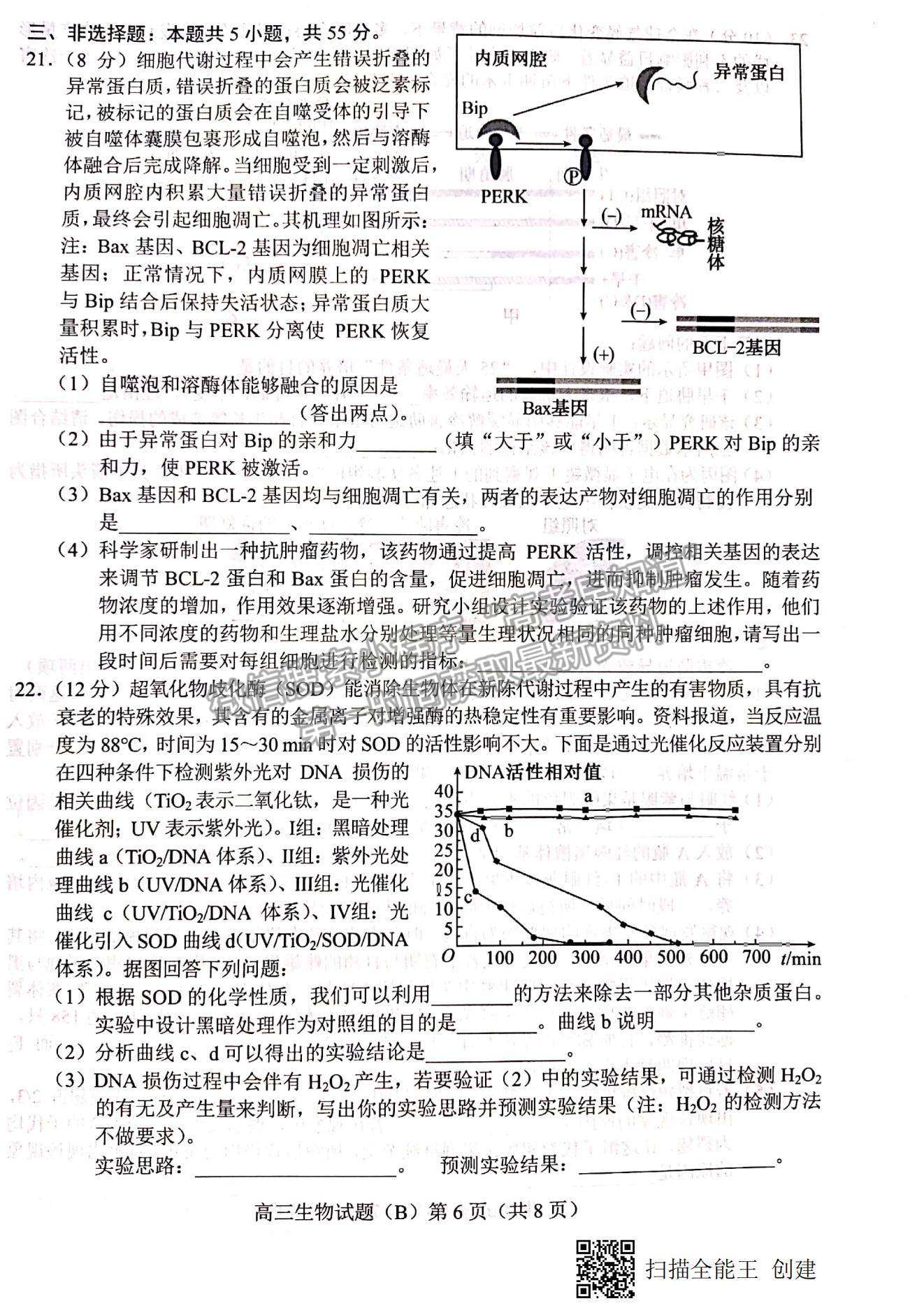 2023山東省菏澤市高三上學(xué)期期中聯(lián)考(B卷）-生物試卷及答案