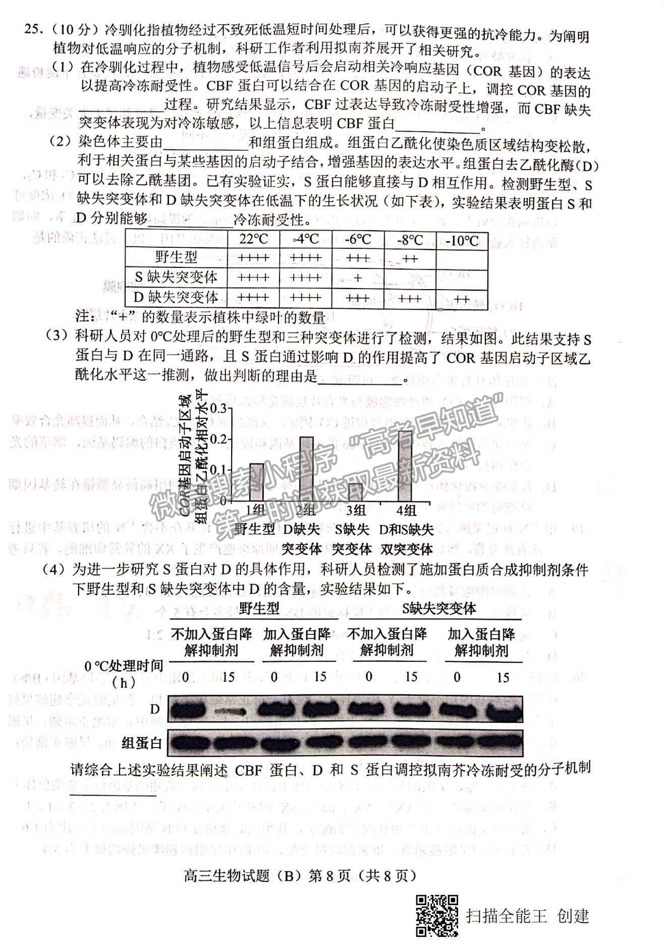 2023山東省菏澤市高三上學(xué)期期中聯(lián)考(B卷）-生物試卷及答案