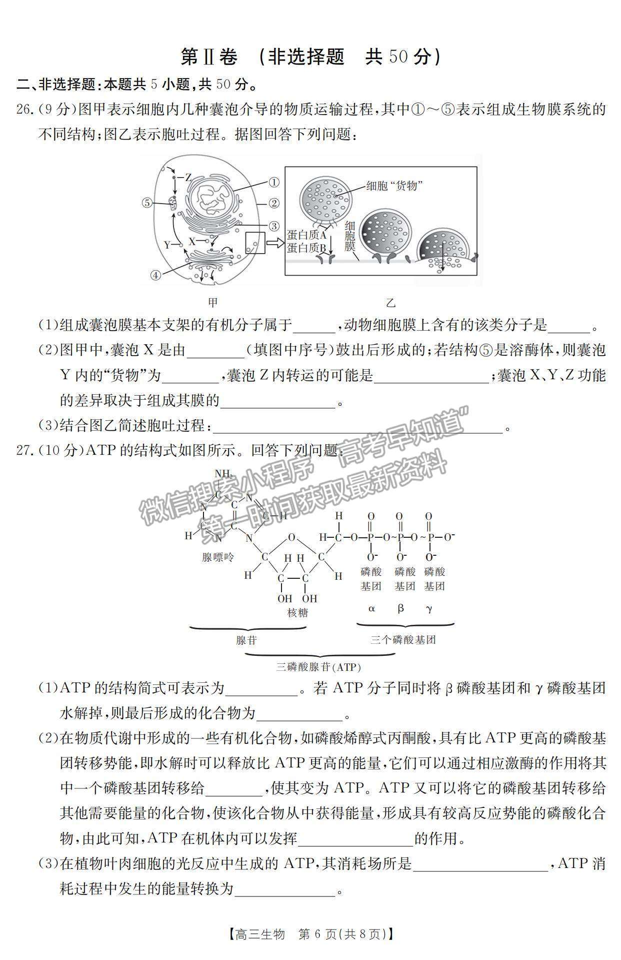 2023江西省贛州市十六縣市二十校高三上學期生物期中聯考