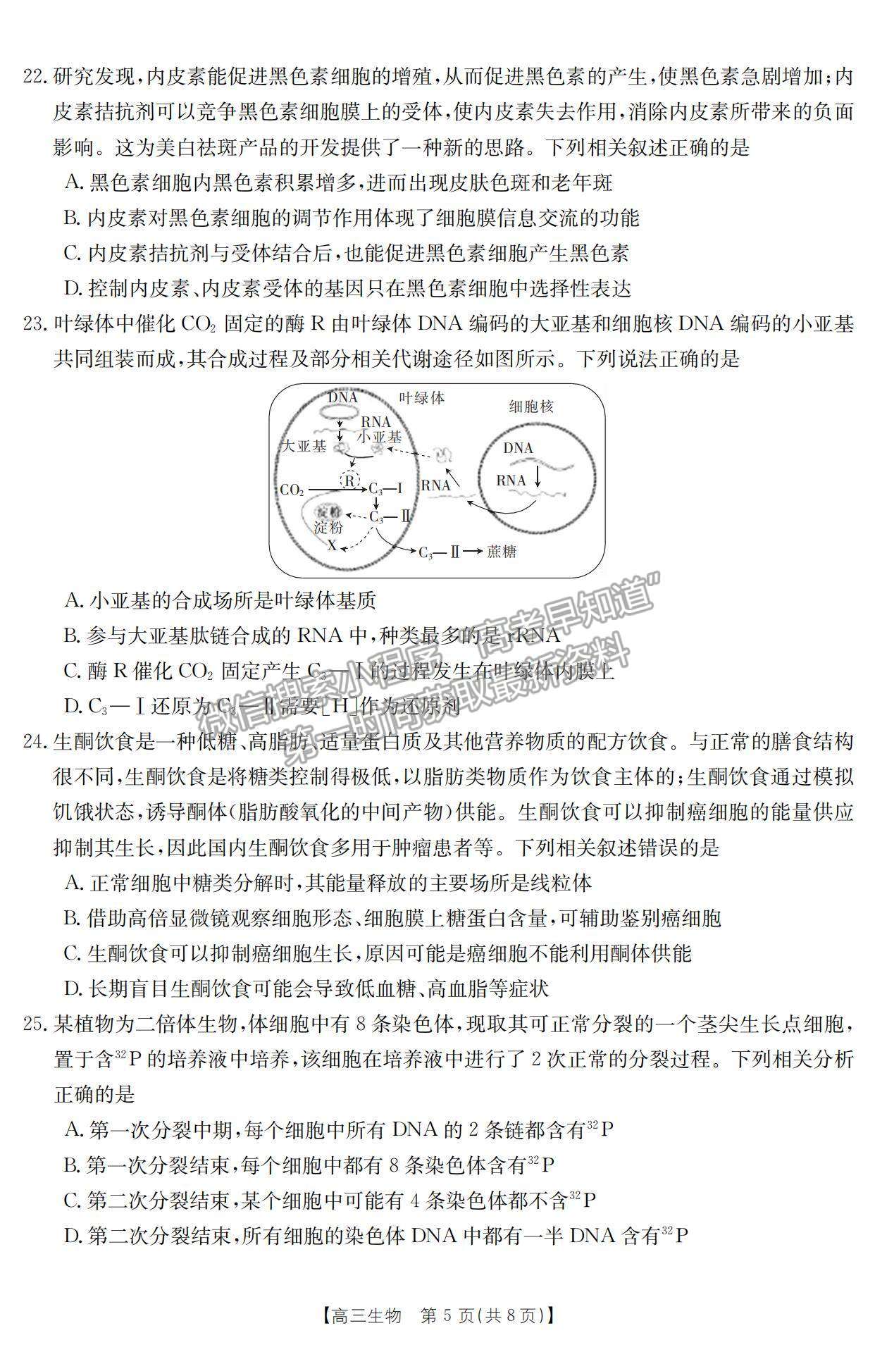 2023江西省贛州市十六縣市二十校高三上學期生物期中聯(lián)考