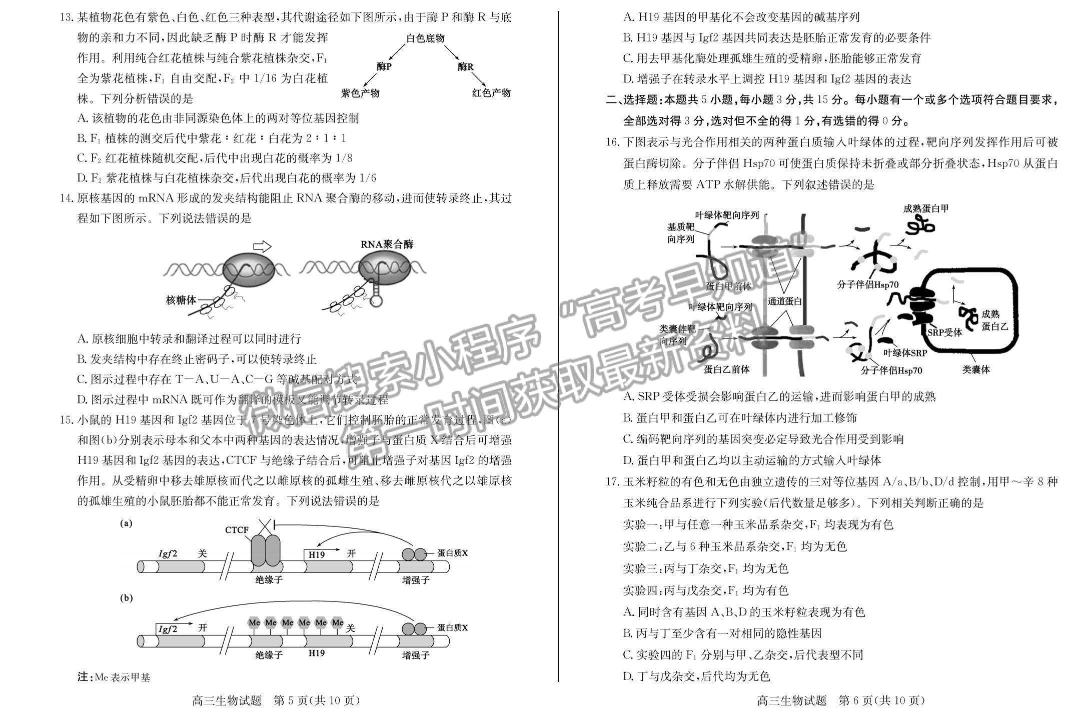 2023年山東省德州市高三上學期期中考-生物試卷及答案