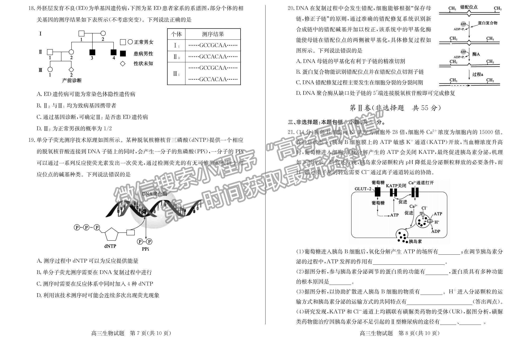 2023年山東省德州市高三上學(xué)期期中考-生物試卷及答案