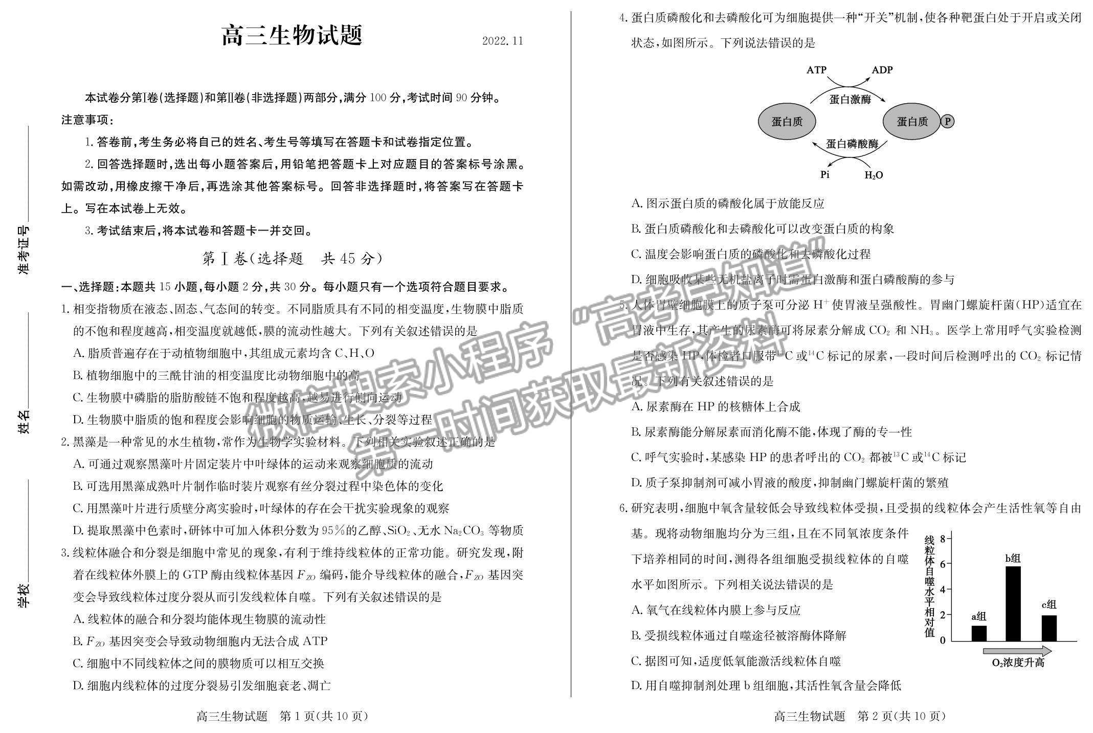 2023年山東省德州市高三上學期期中考-生物試卷及答案